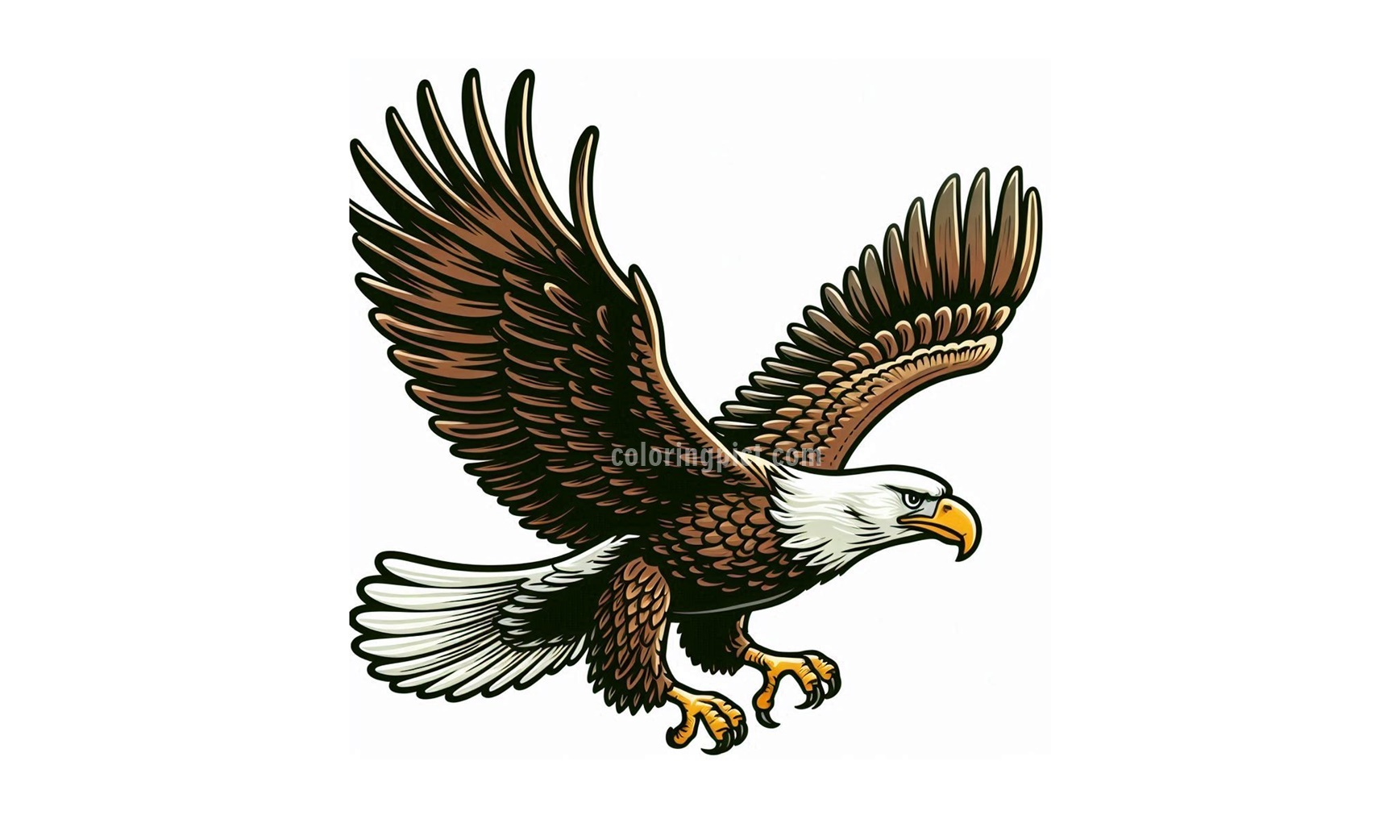 Eagle Image Coloring