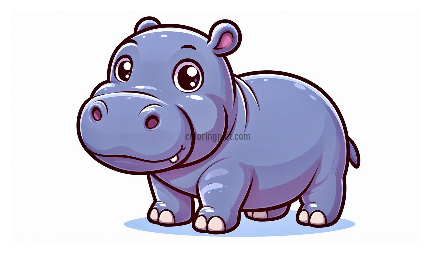 Hippo Images Coloring