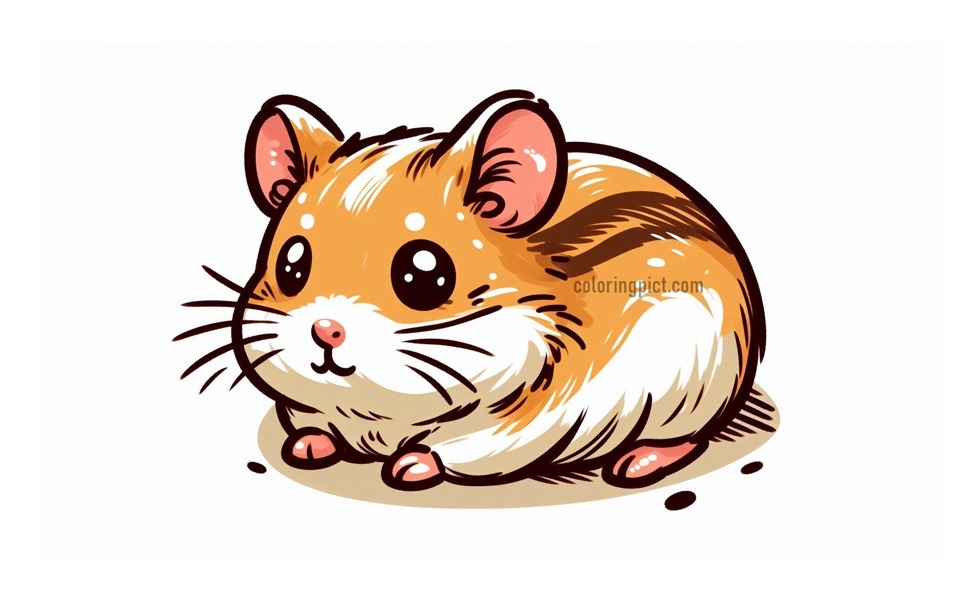 Image Hamster Coloring