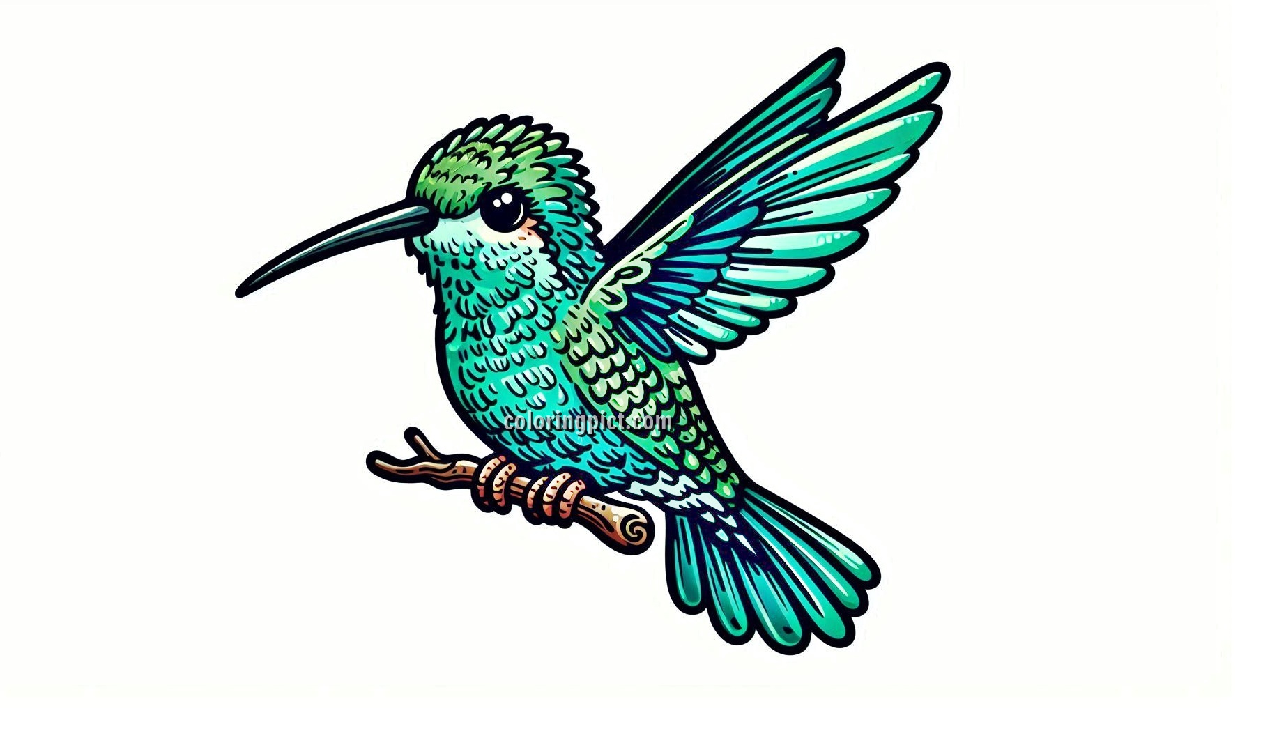 Image Hummingbird Coloring