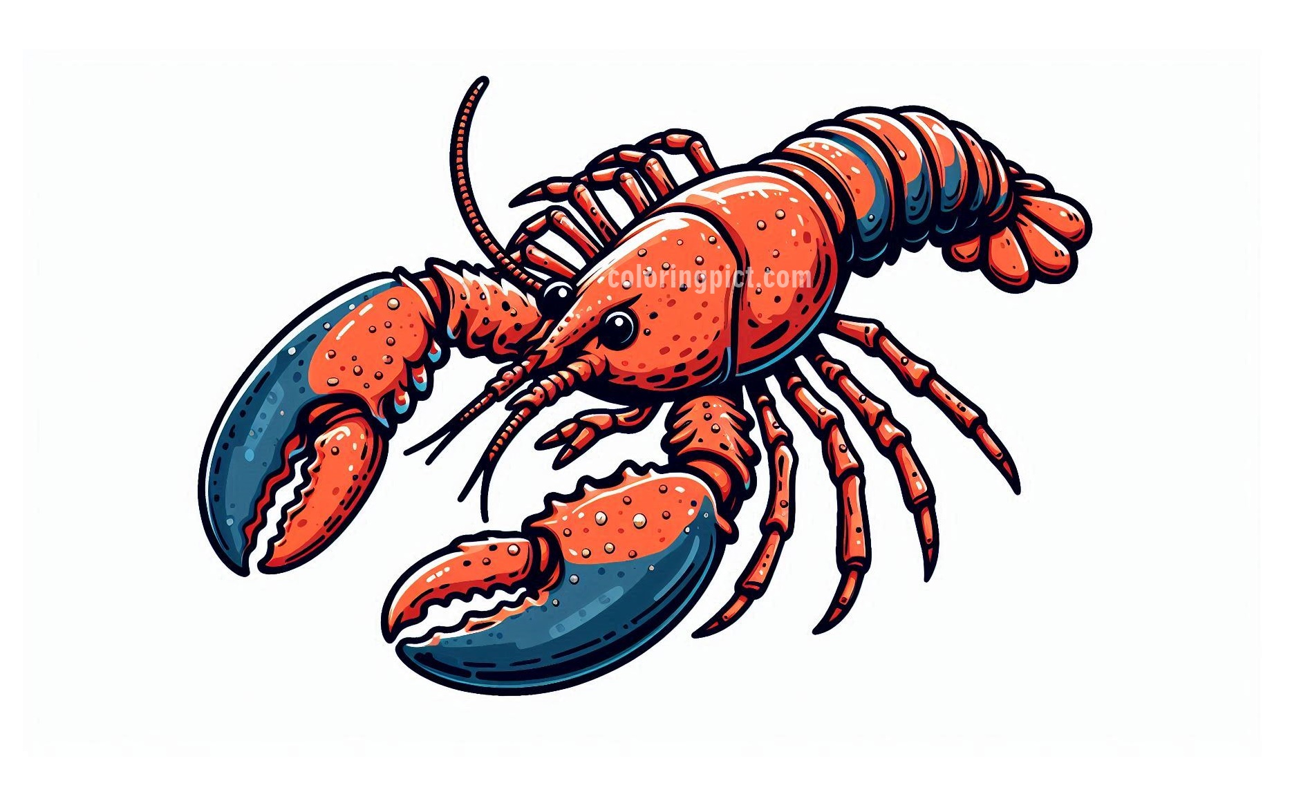 Image is Lobster Coloring