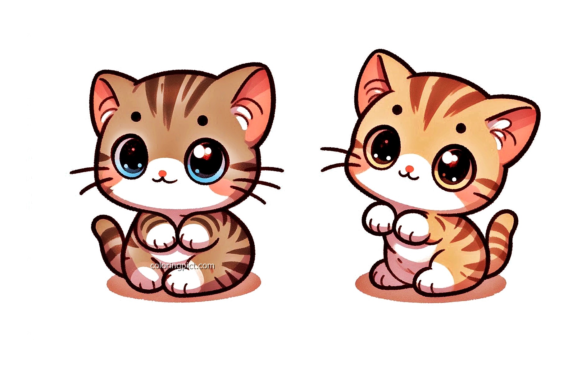 Image of Cute Kitten Coloring