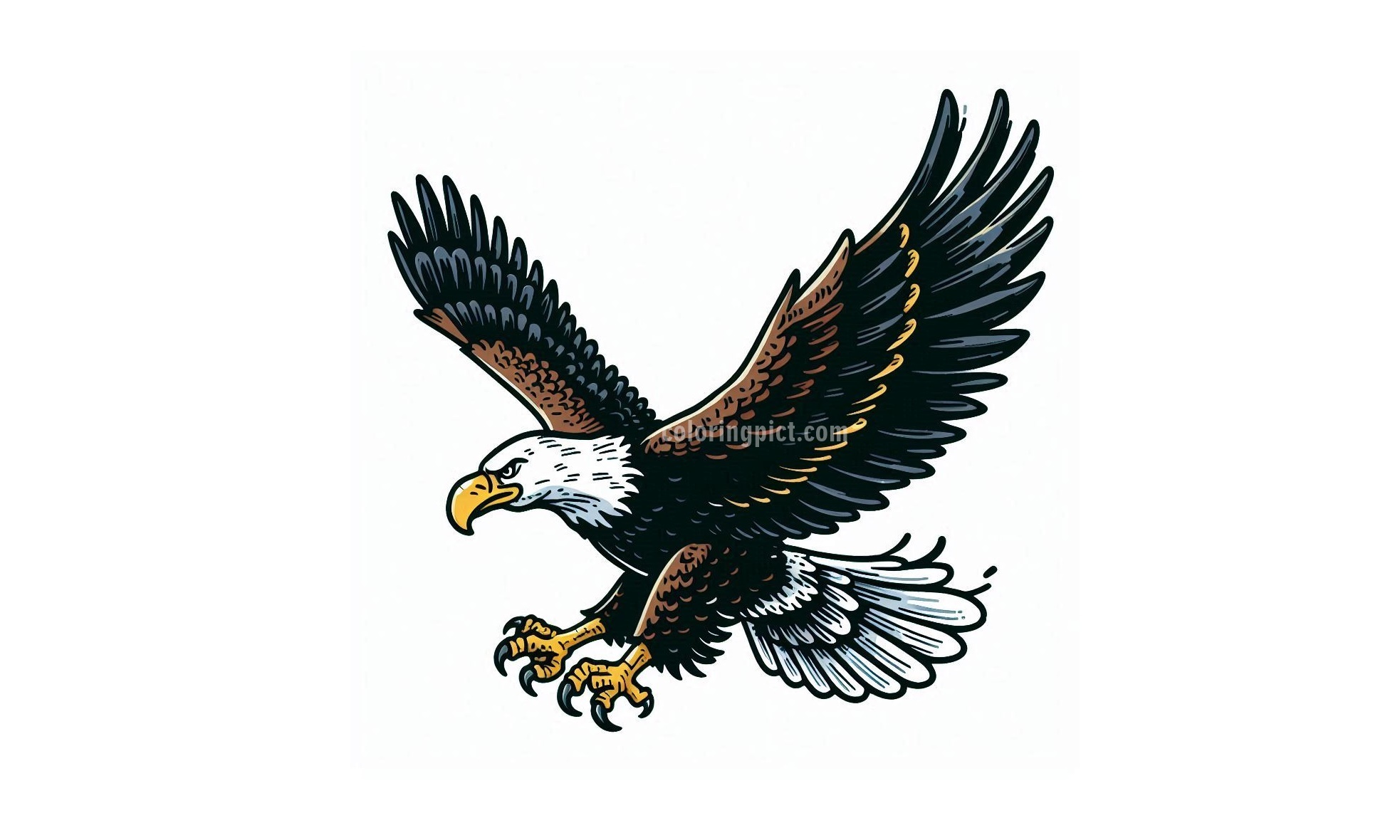 Image of Eagle Fly Coloring
