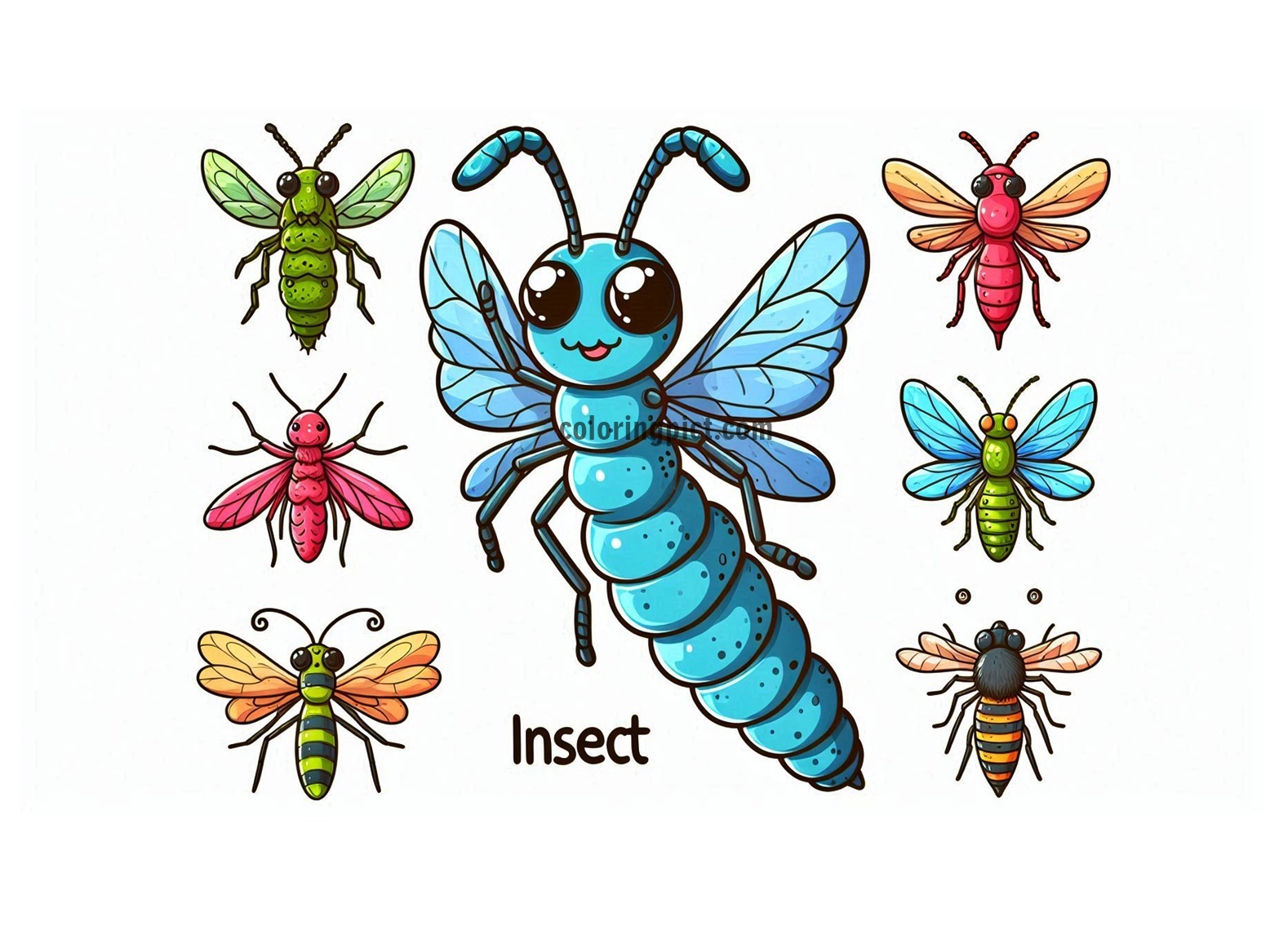 Insect Image Coloring