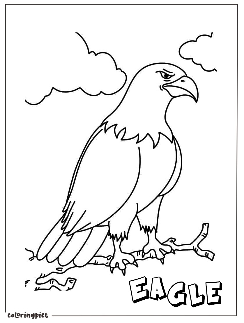Outline Of Bald Eagle For Kids coloring