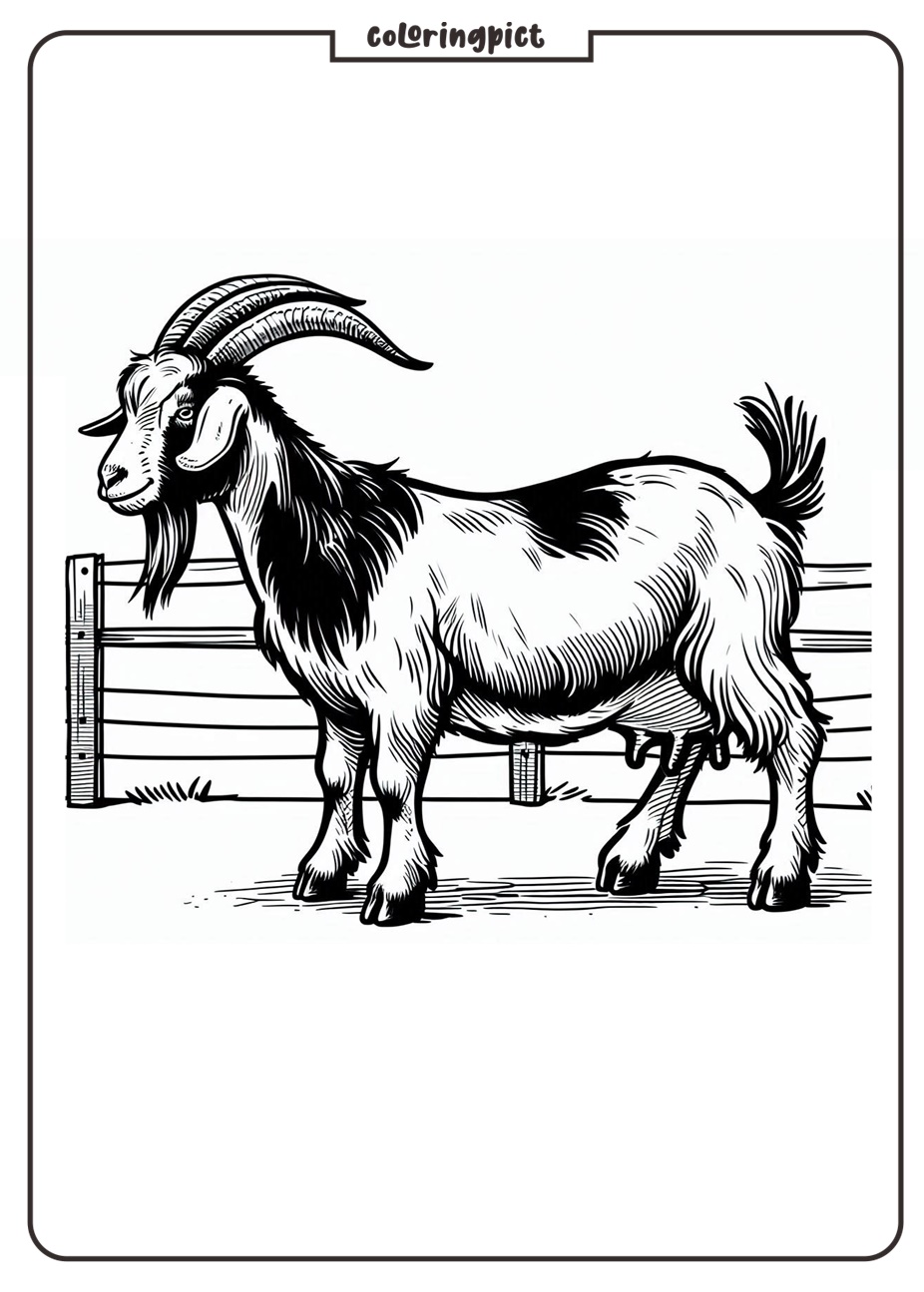 Printable goat farming coloring