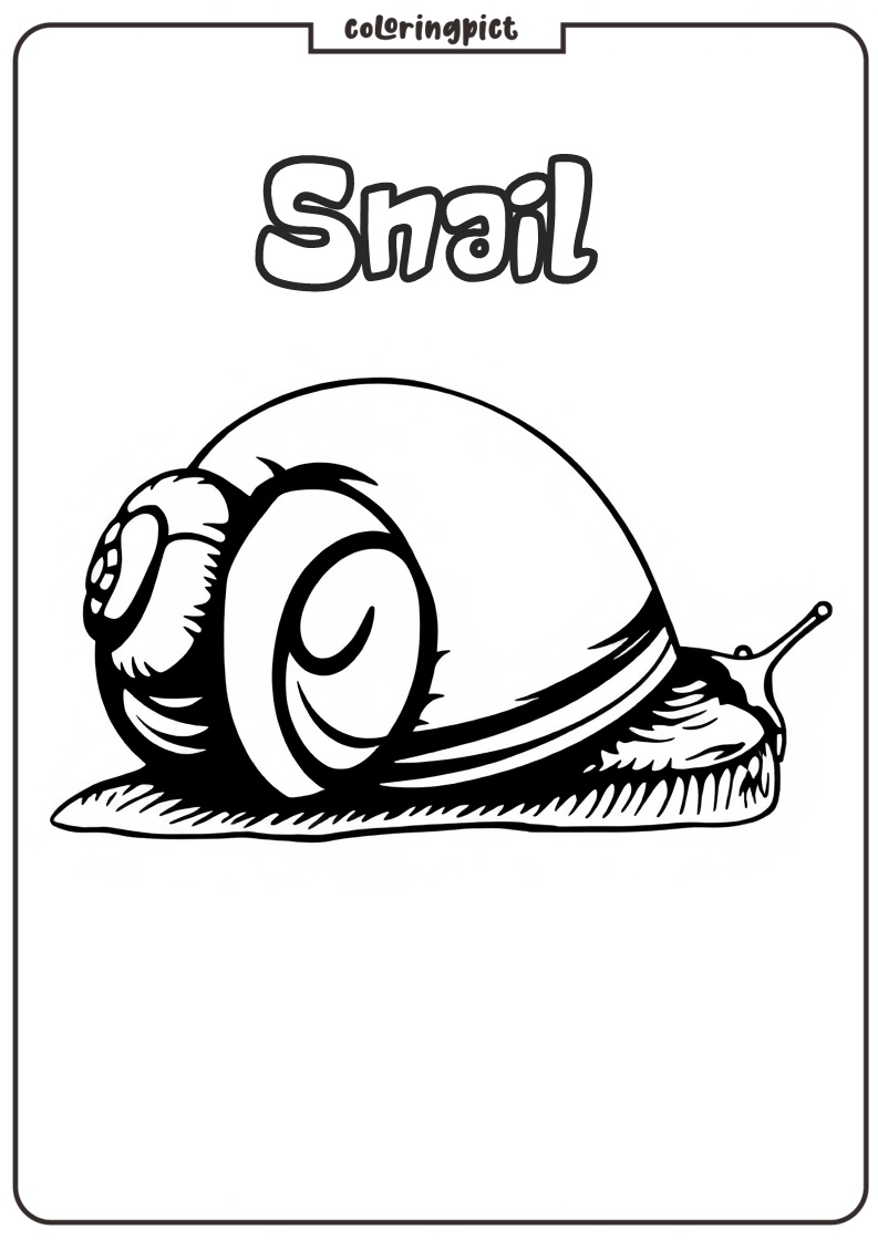 Snail Coloring Pages for Kids