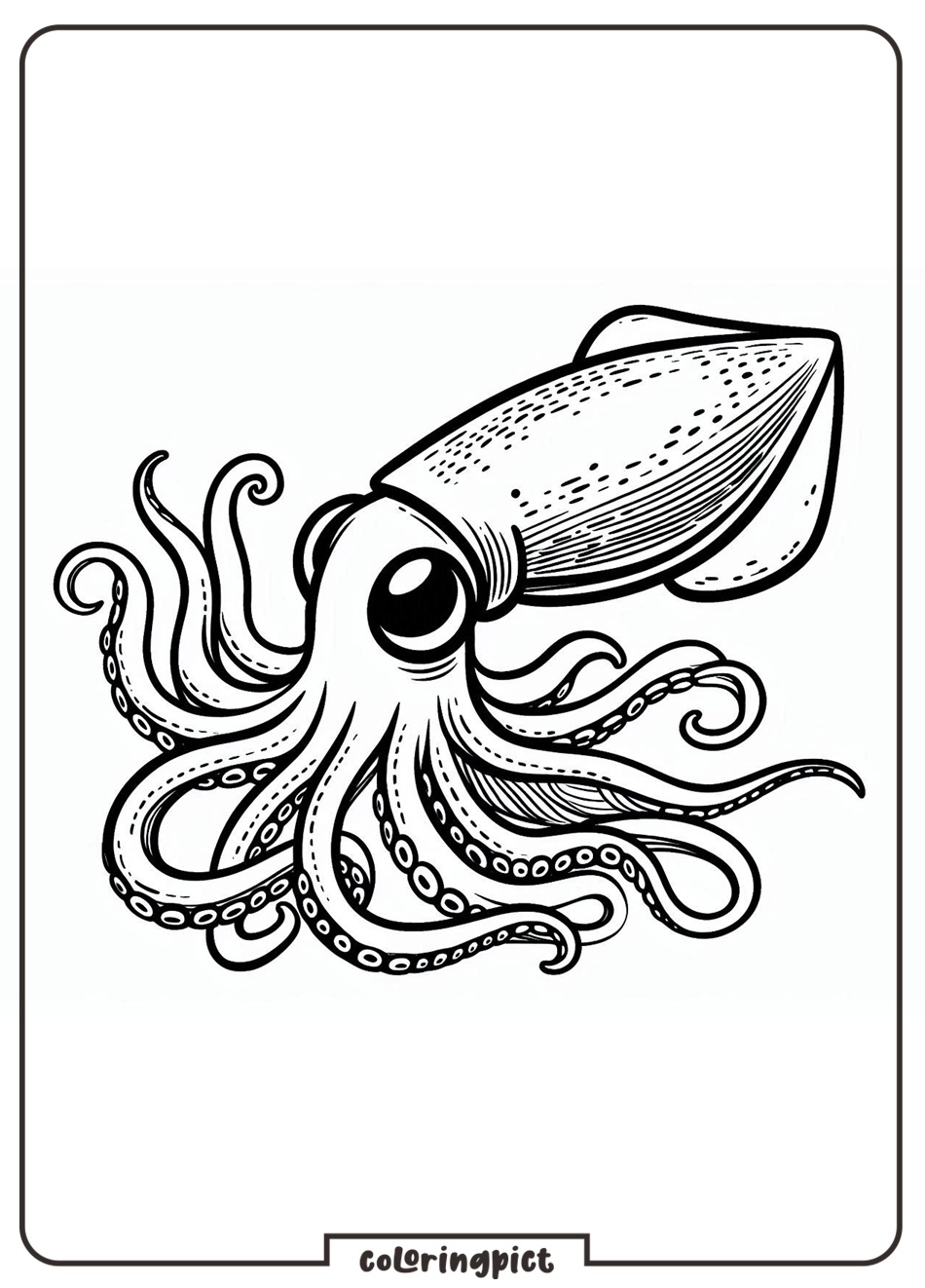 Dive into the deep sea with the Squid Coloring Pages 2 Squid Coloring Pages for Kids