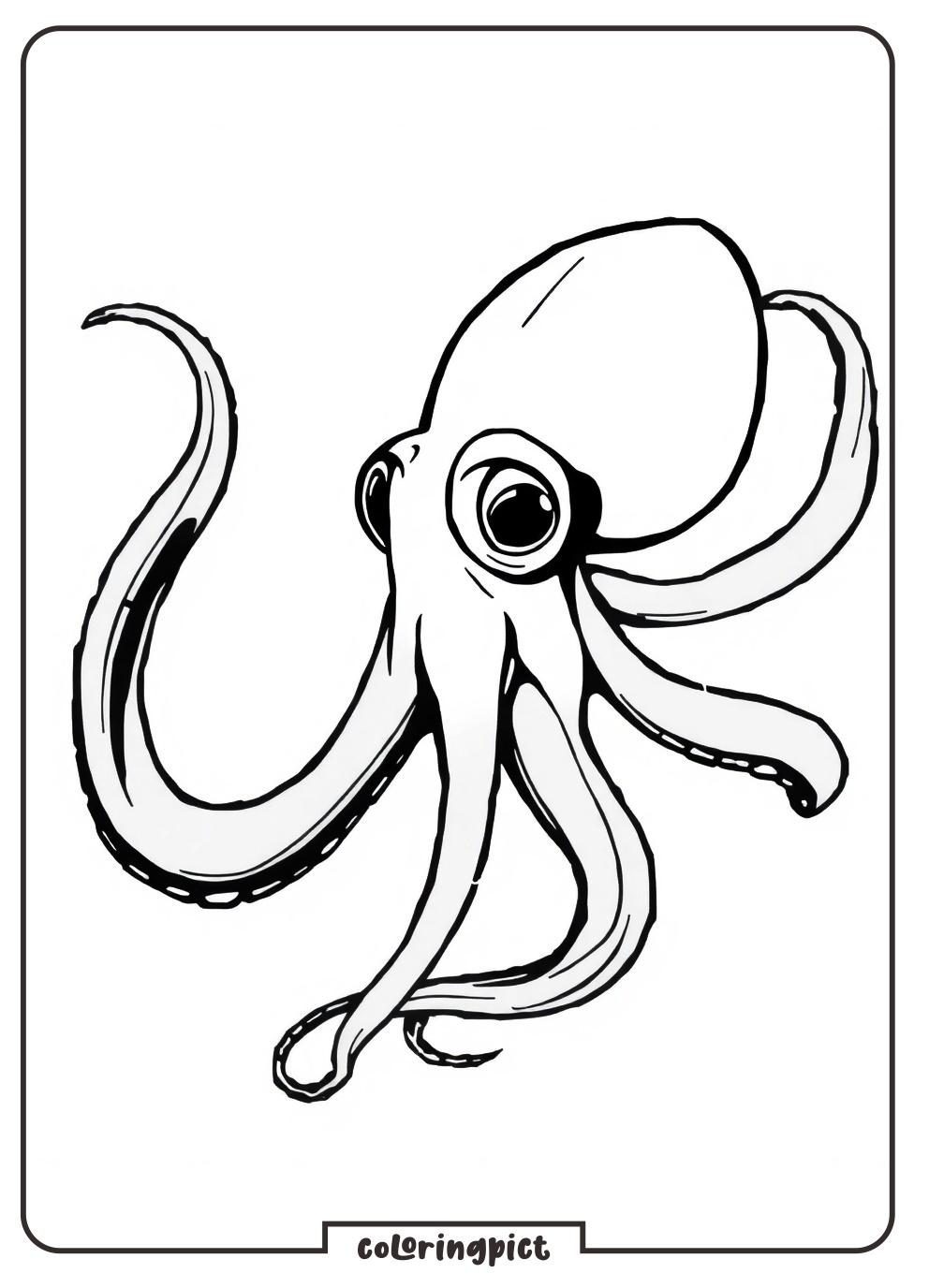 Dive into the deep sea with the Squid Coloring Pages 4 Squid Coloring Pages