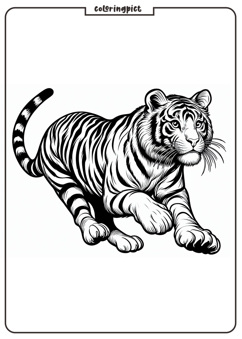 Tiger Coloring Page Download