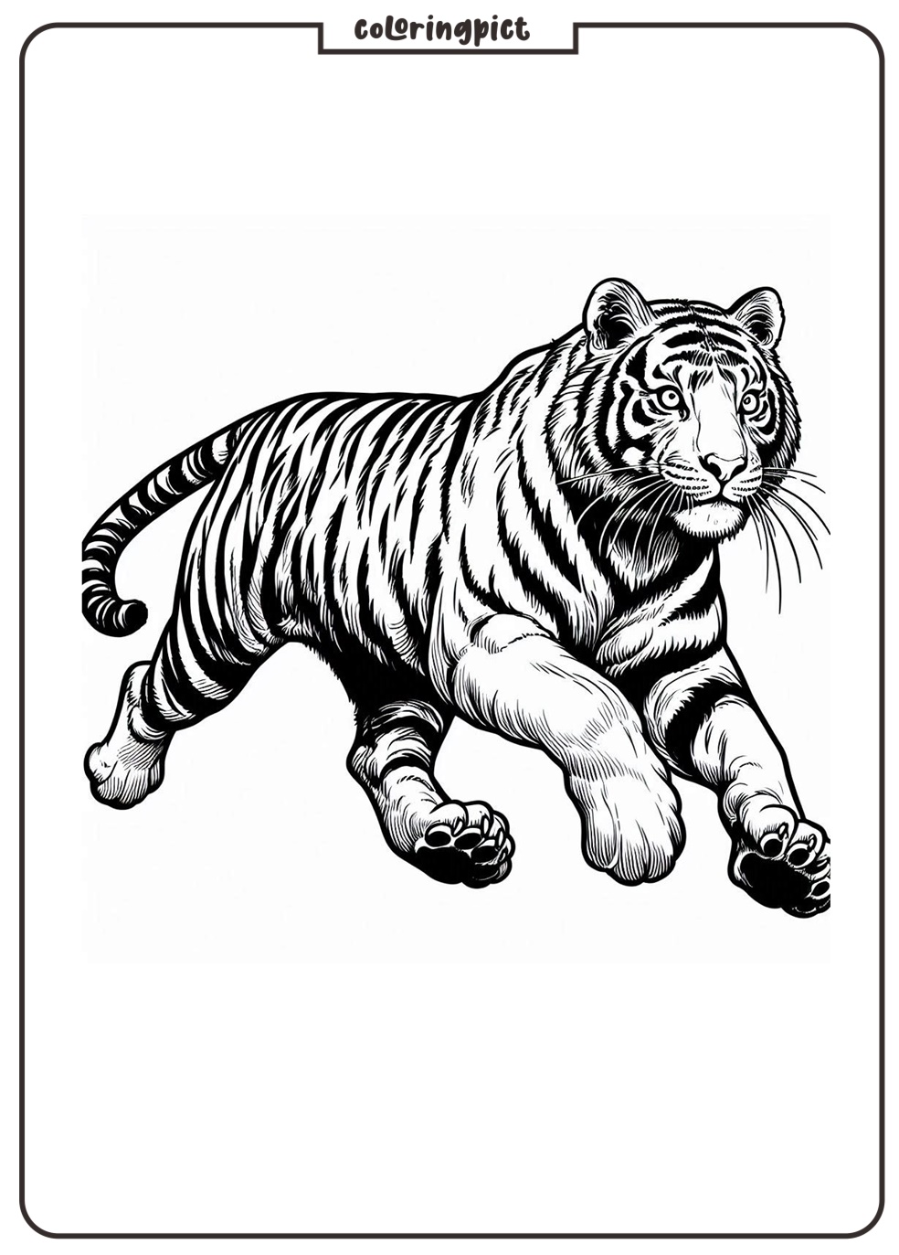 Tiger Coloring Page Printable