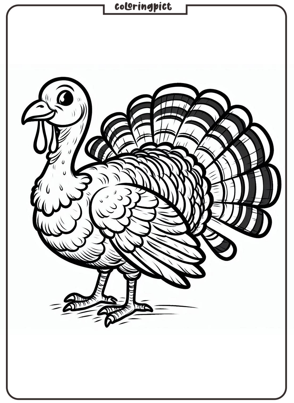Turkey Bird Coloring Page