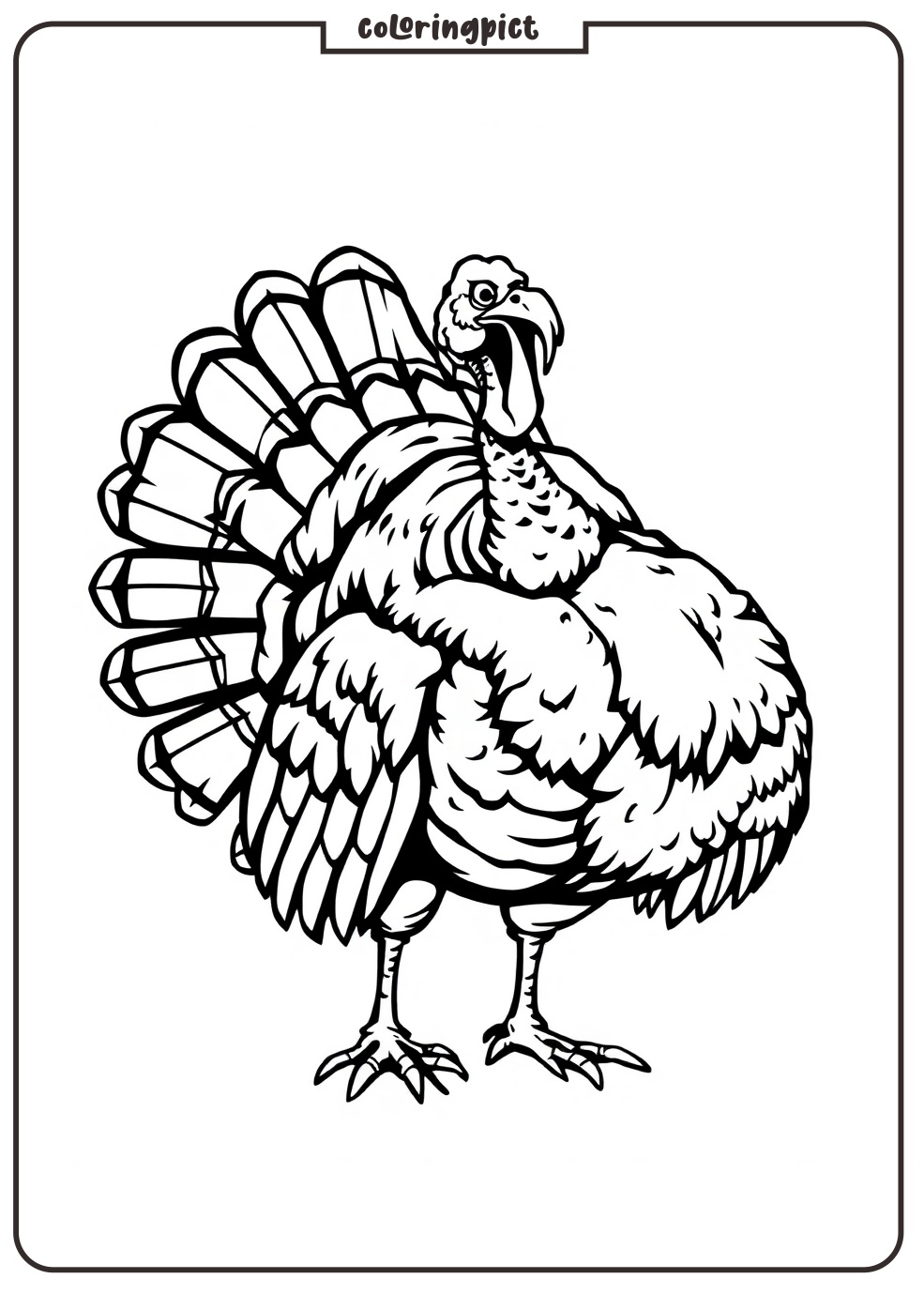 Turkey Bird Coloring Pages