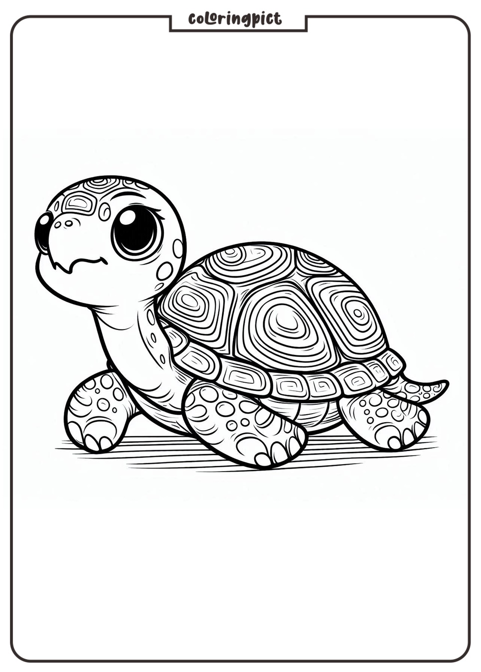 Turtle Coloring Page for Kid