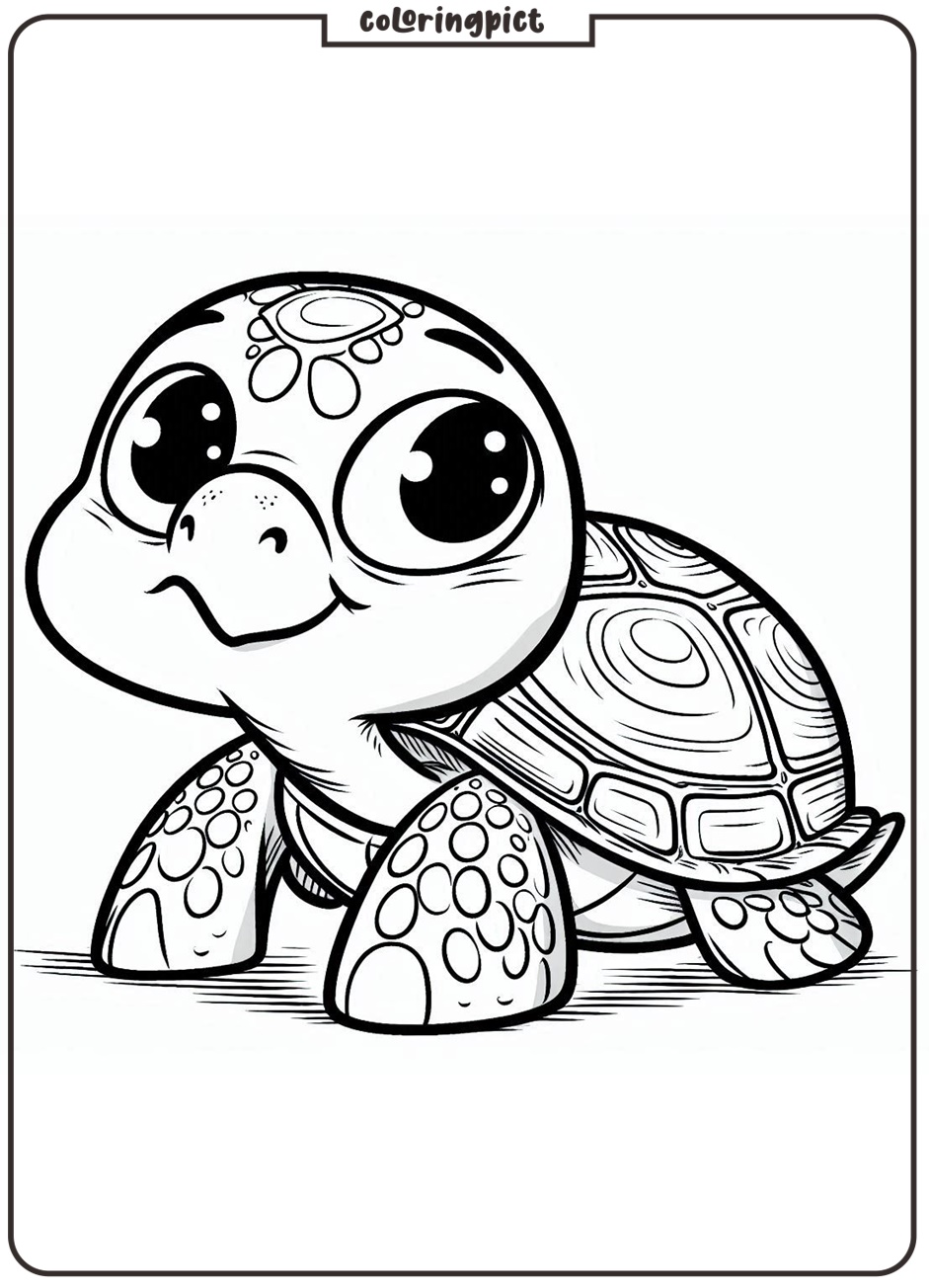 Turtle Coloring Pages
