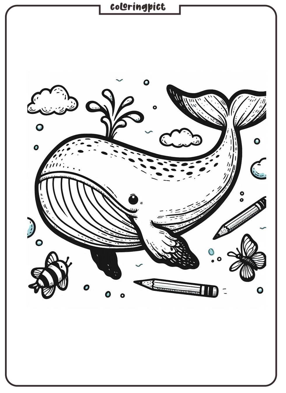 Welcome to the Amazing Whale Coloring Pages 2 Whale Coloring Pages for Kids