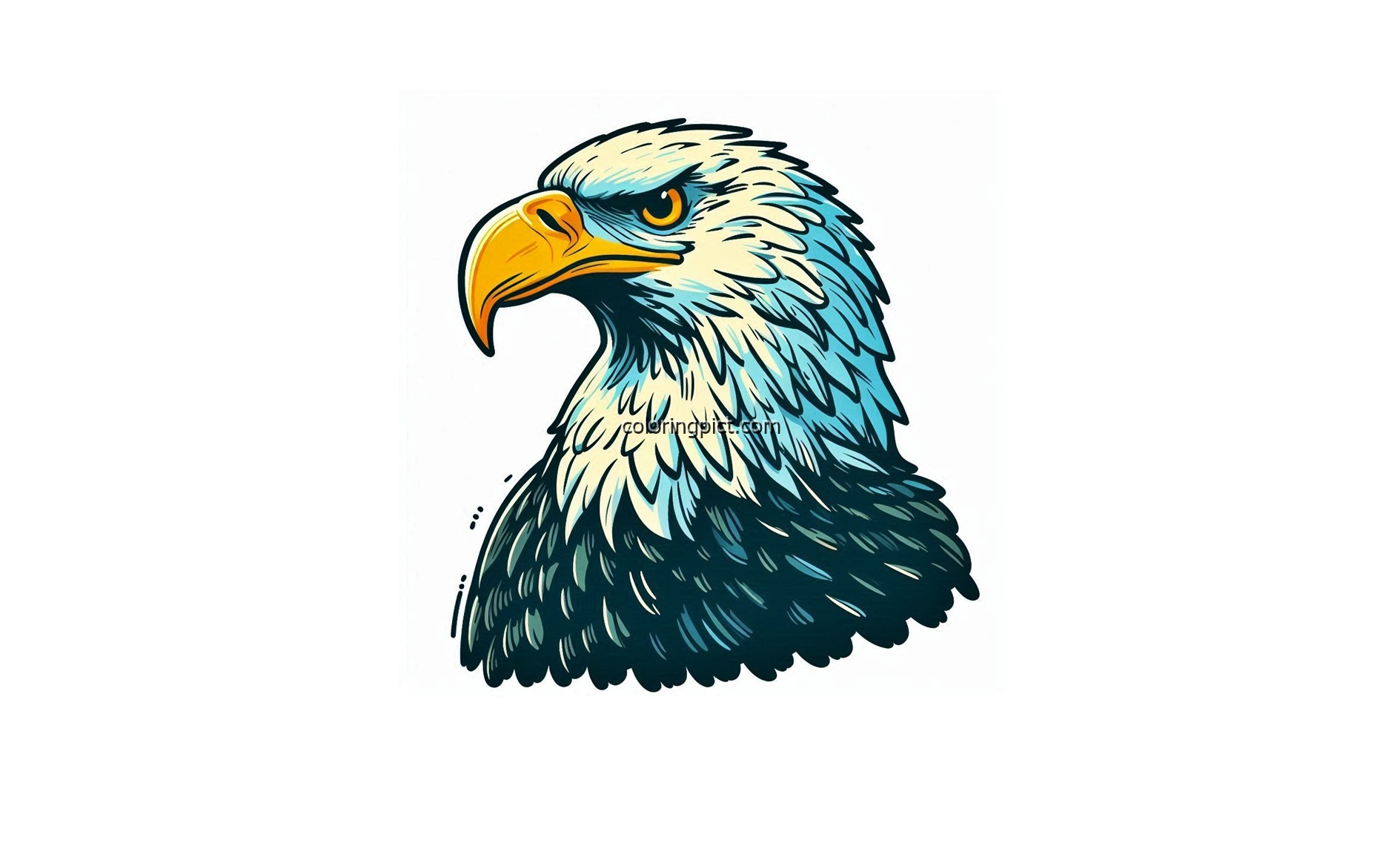 eagle Head Image to color