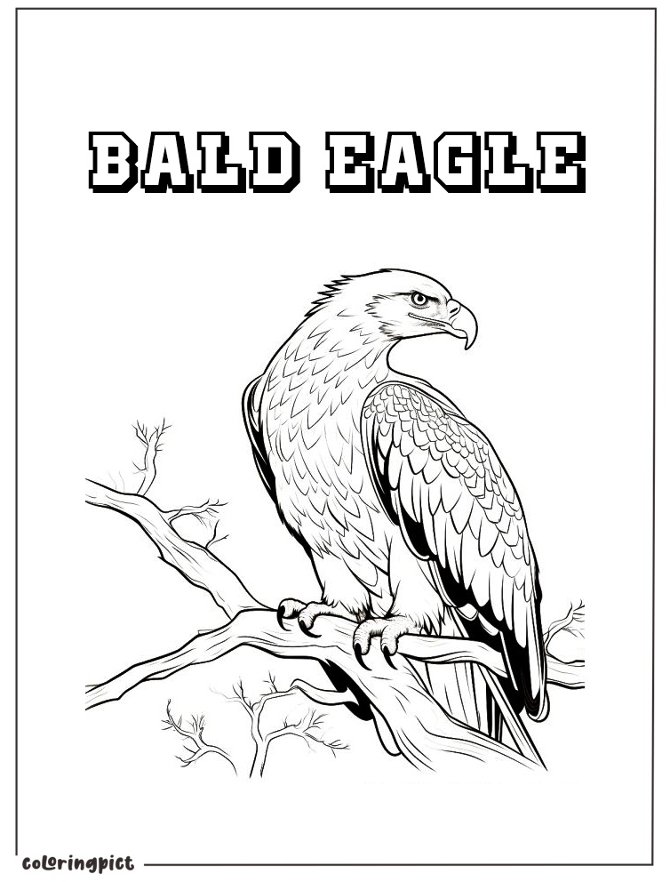 eagle coloring pages for kids