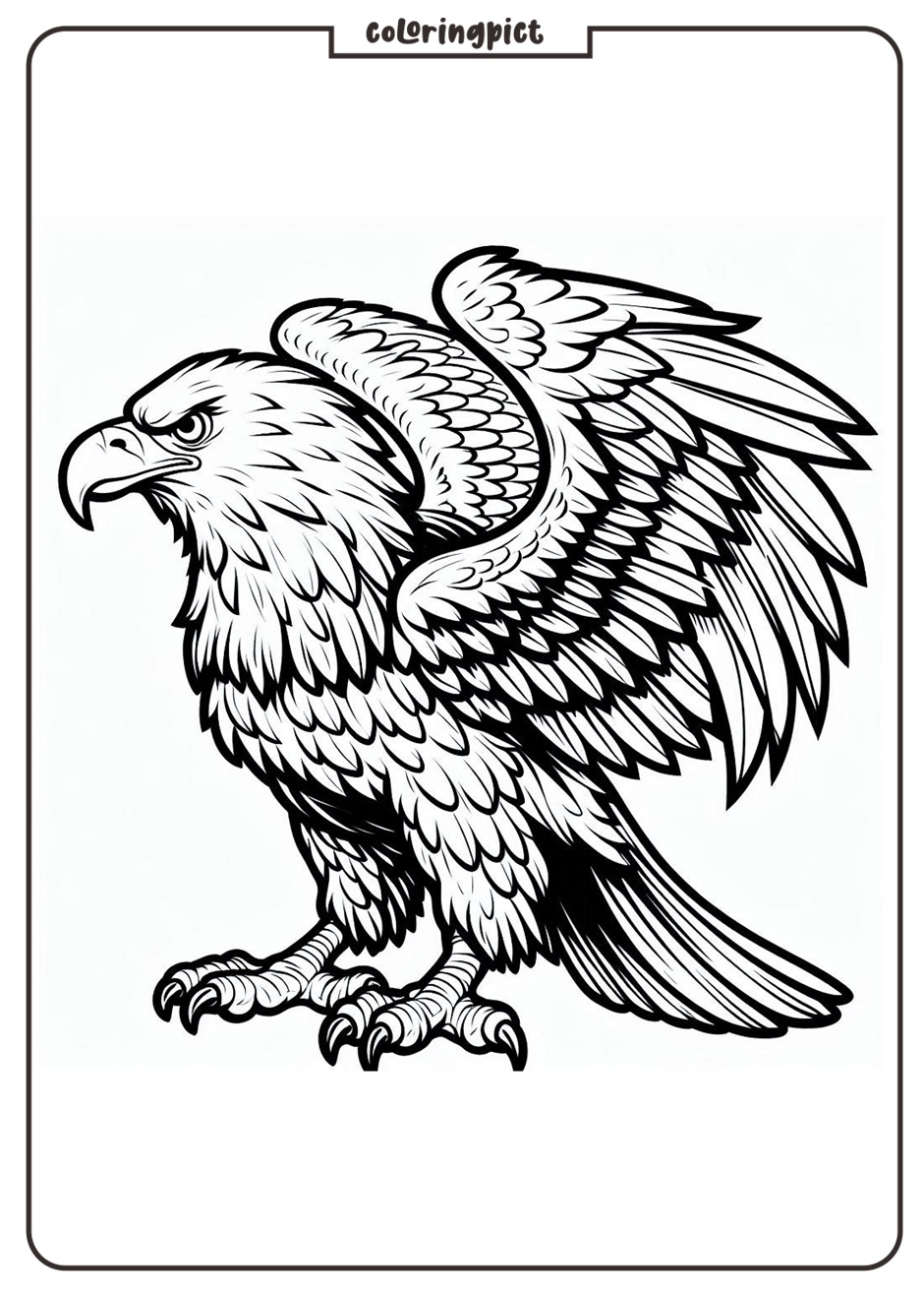 eagle coloring pages