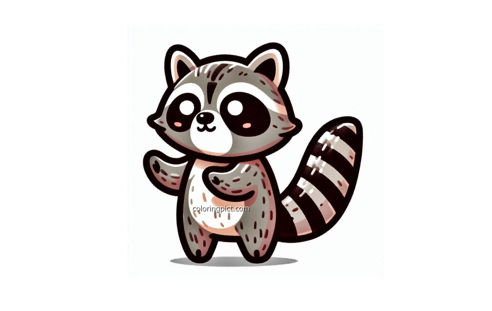 image animal raccoon coloring