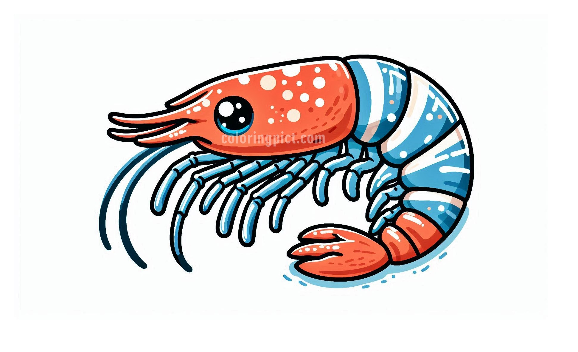image is prawn coloring