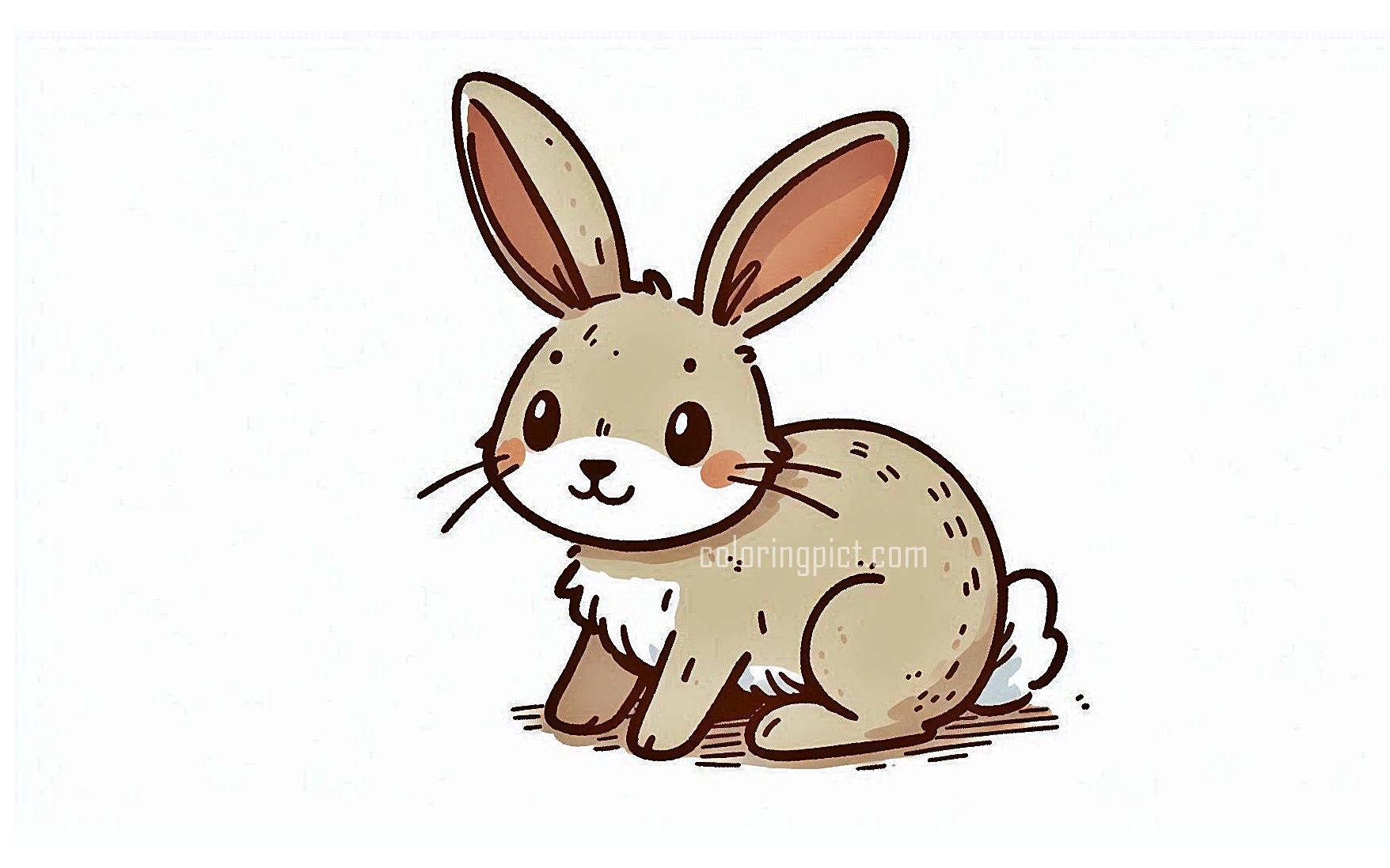 image is rabbit coloring
