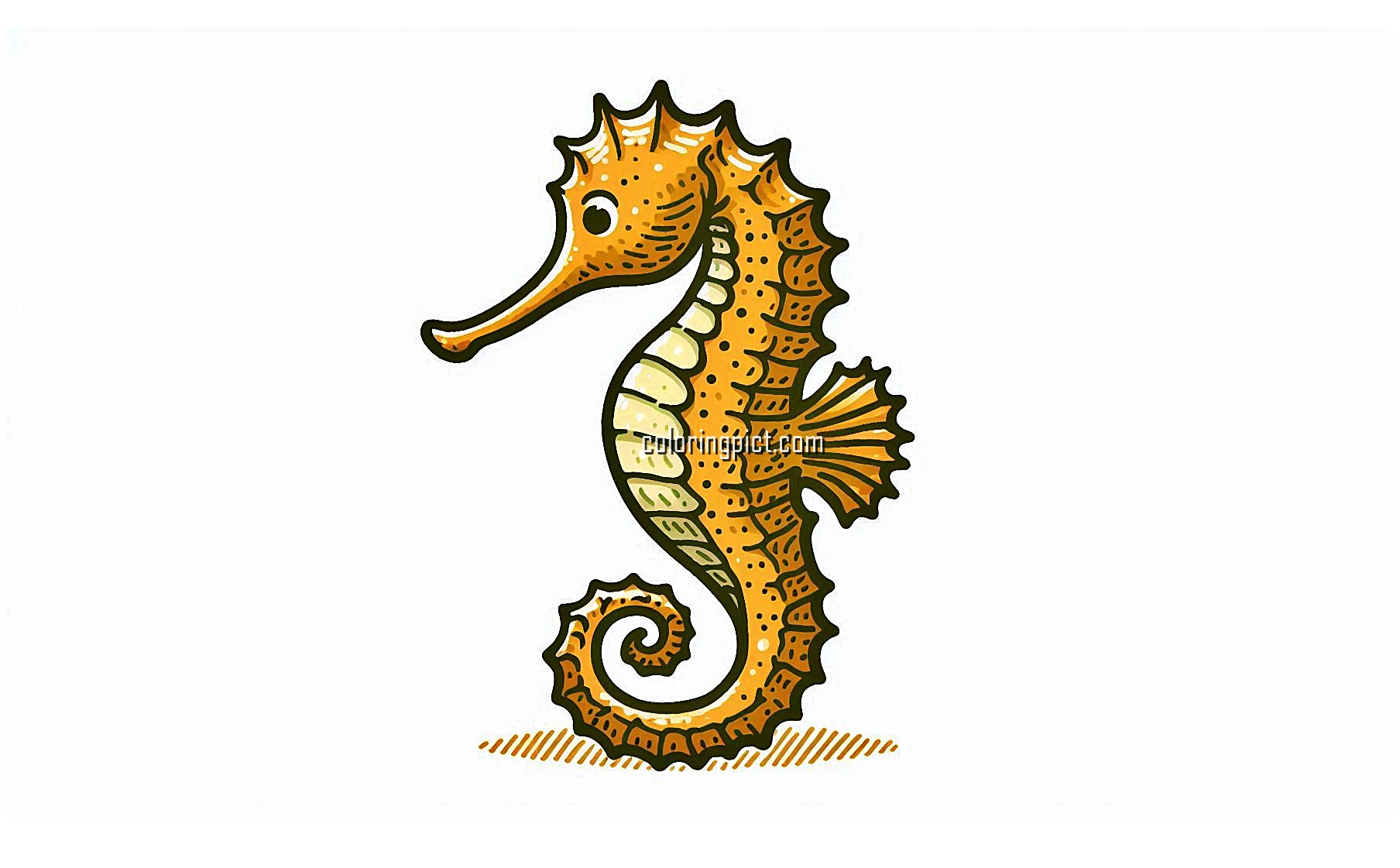 image is seahorse coloring
