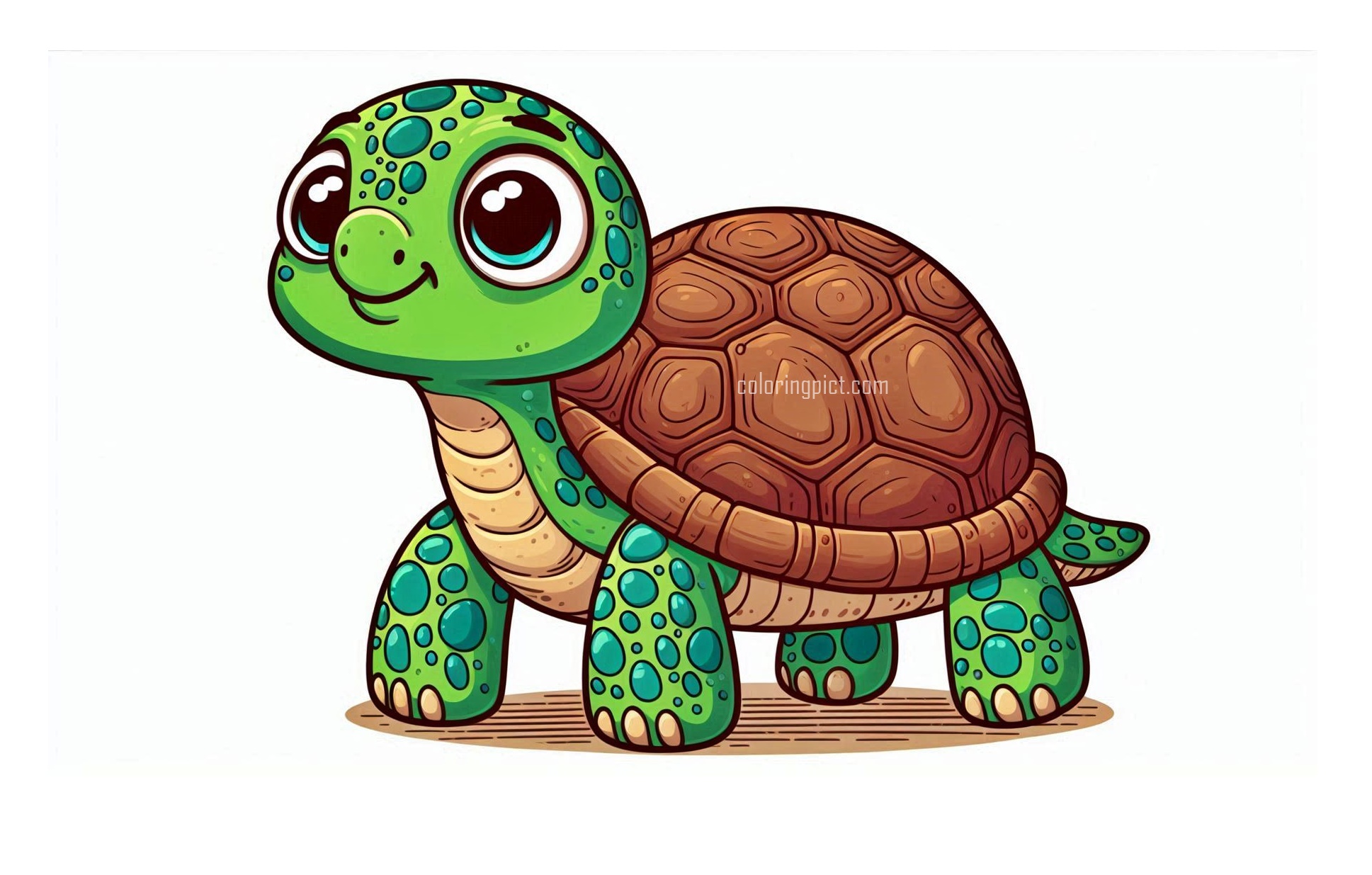 image is turtle coloring