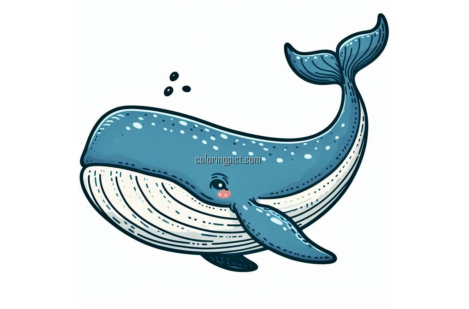 Welcome to the Amazing Whale Coloring Pages 5 image is whale coloring