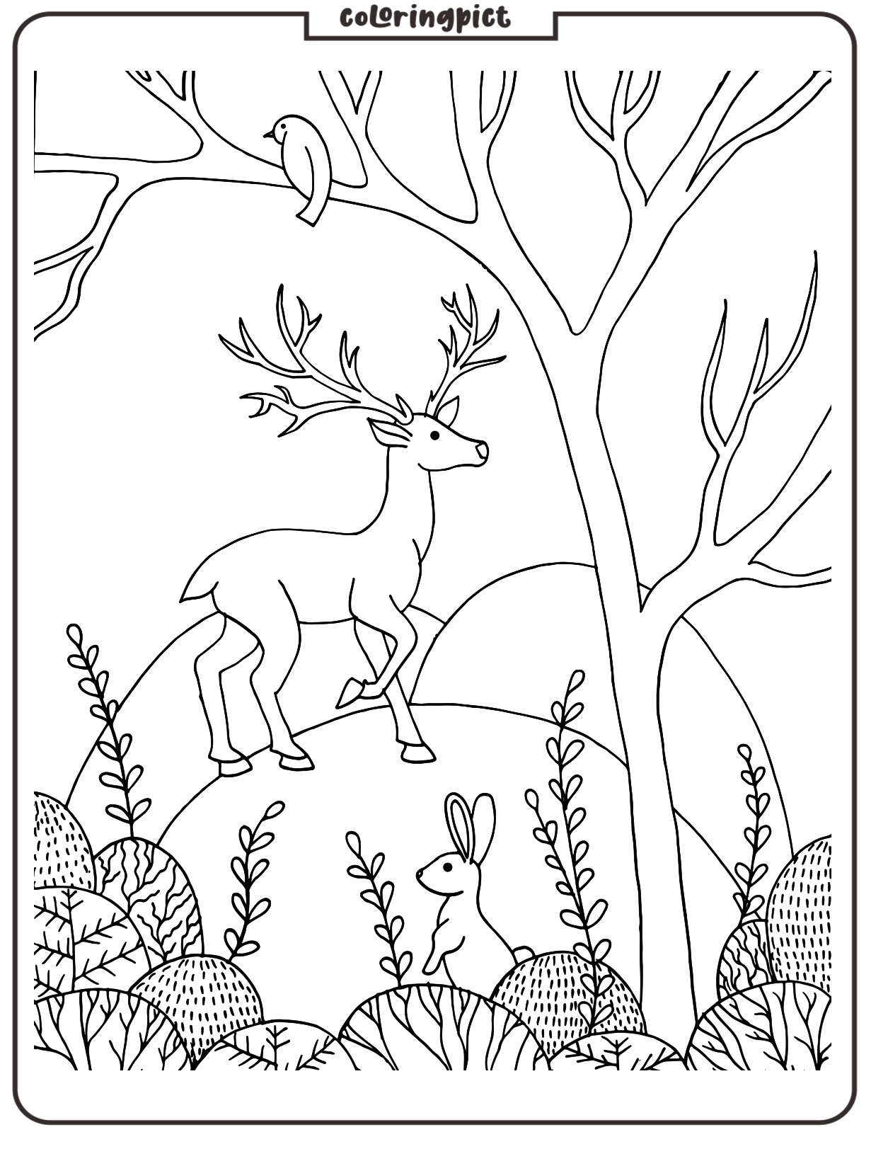 Welcome to our Forest Animal Coloring Pages for Kids 3 printable forest animal coloring