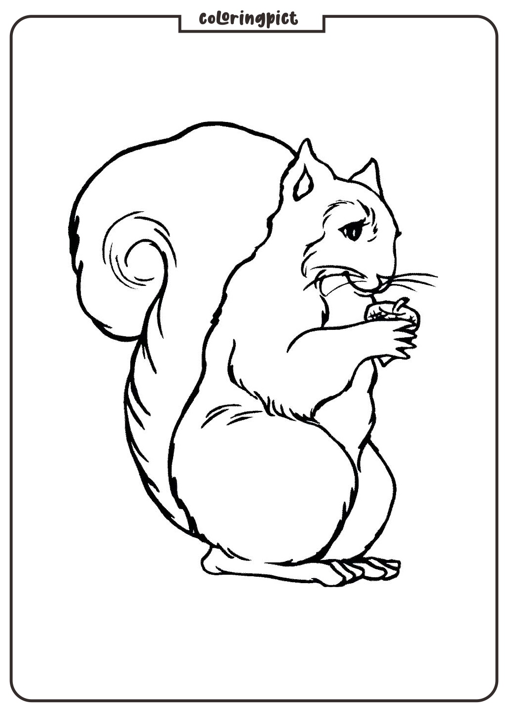 Skunk Coloring Page for Kids 4 skunk coloring pages free printable