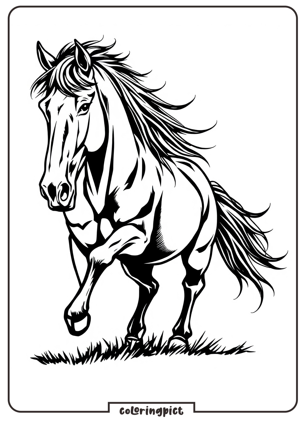 wild horse coloring page
