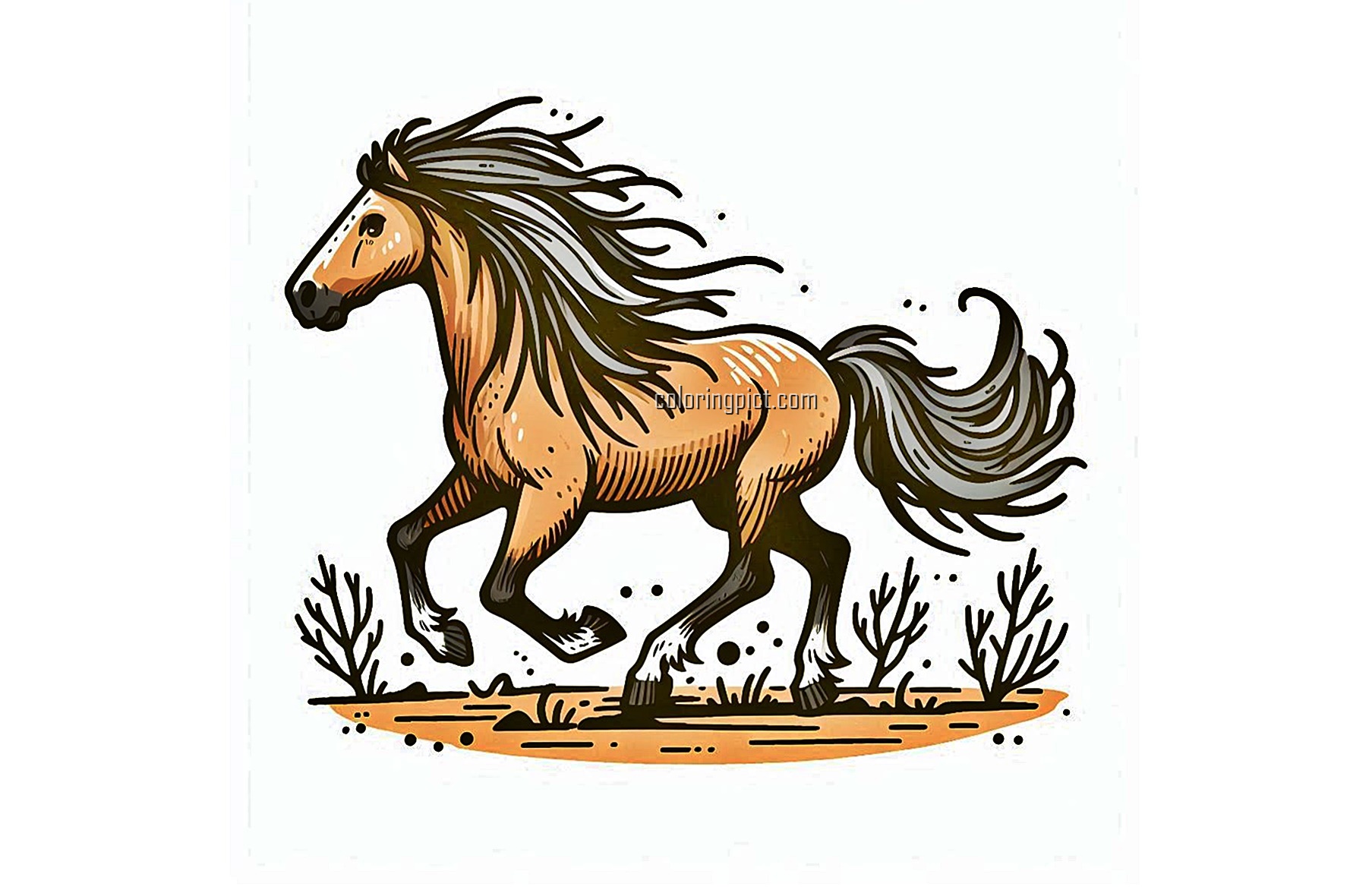 wild horse image to color