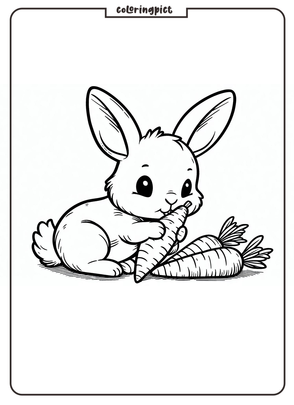 rabbit eat carrot coloring pages for kid