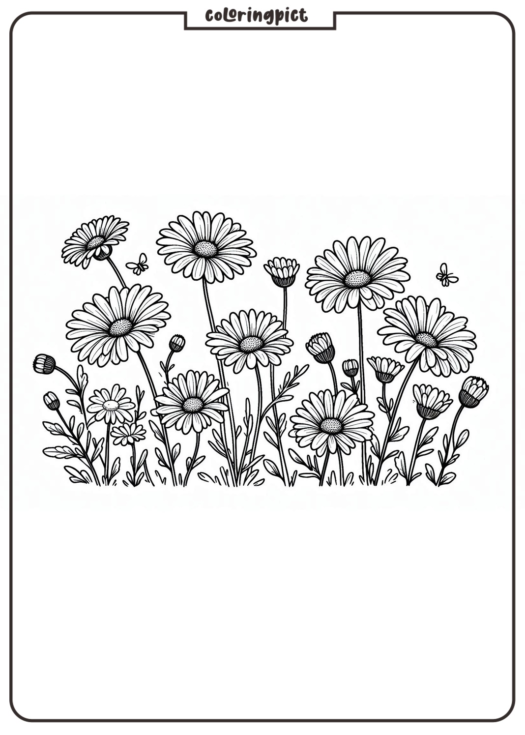 daisy coloring pages