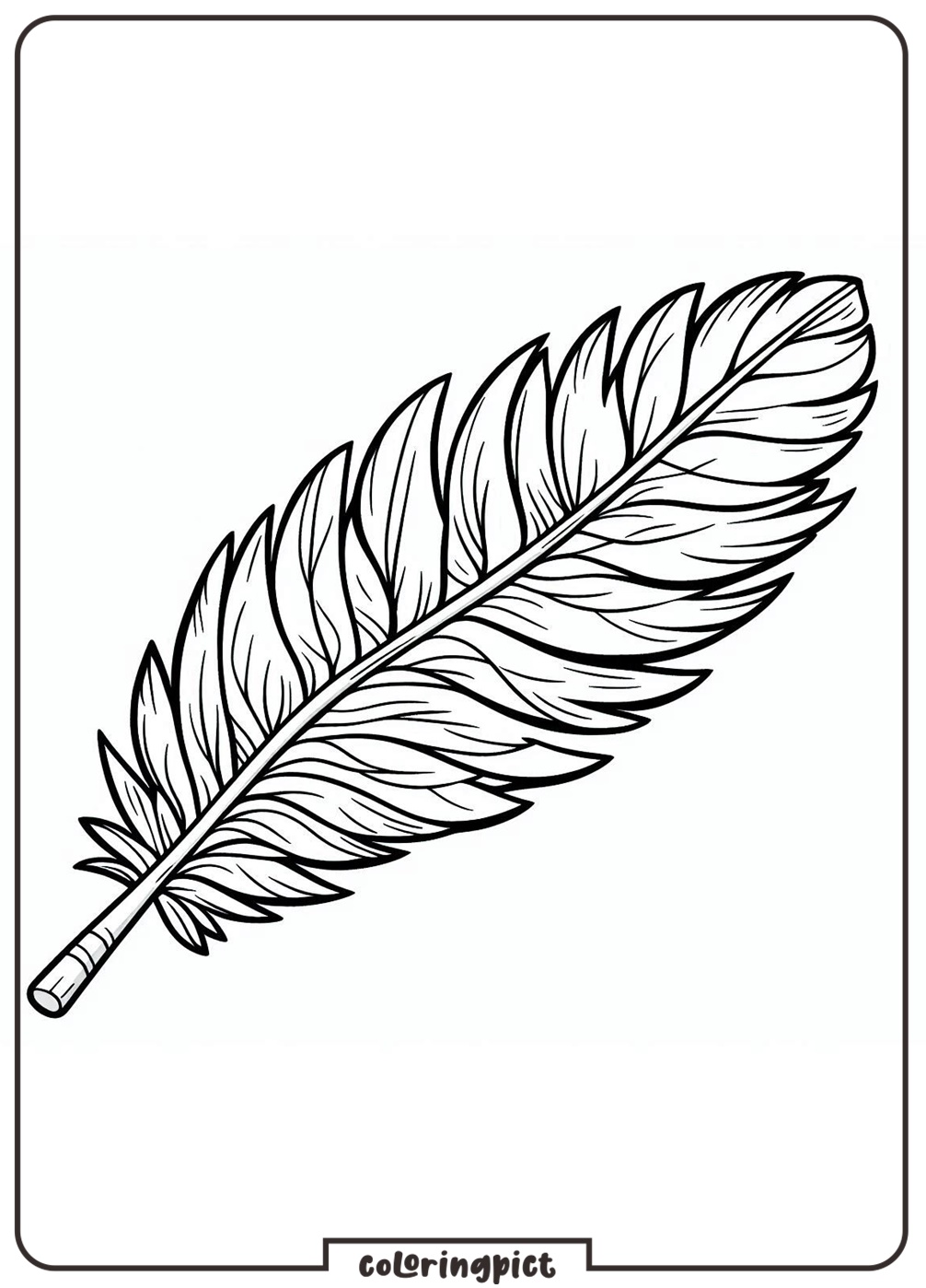 feather coloring pages for kids