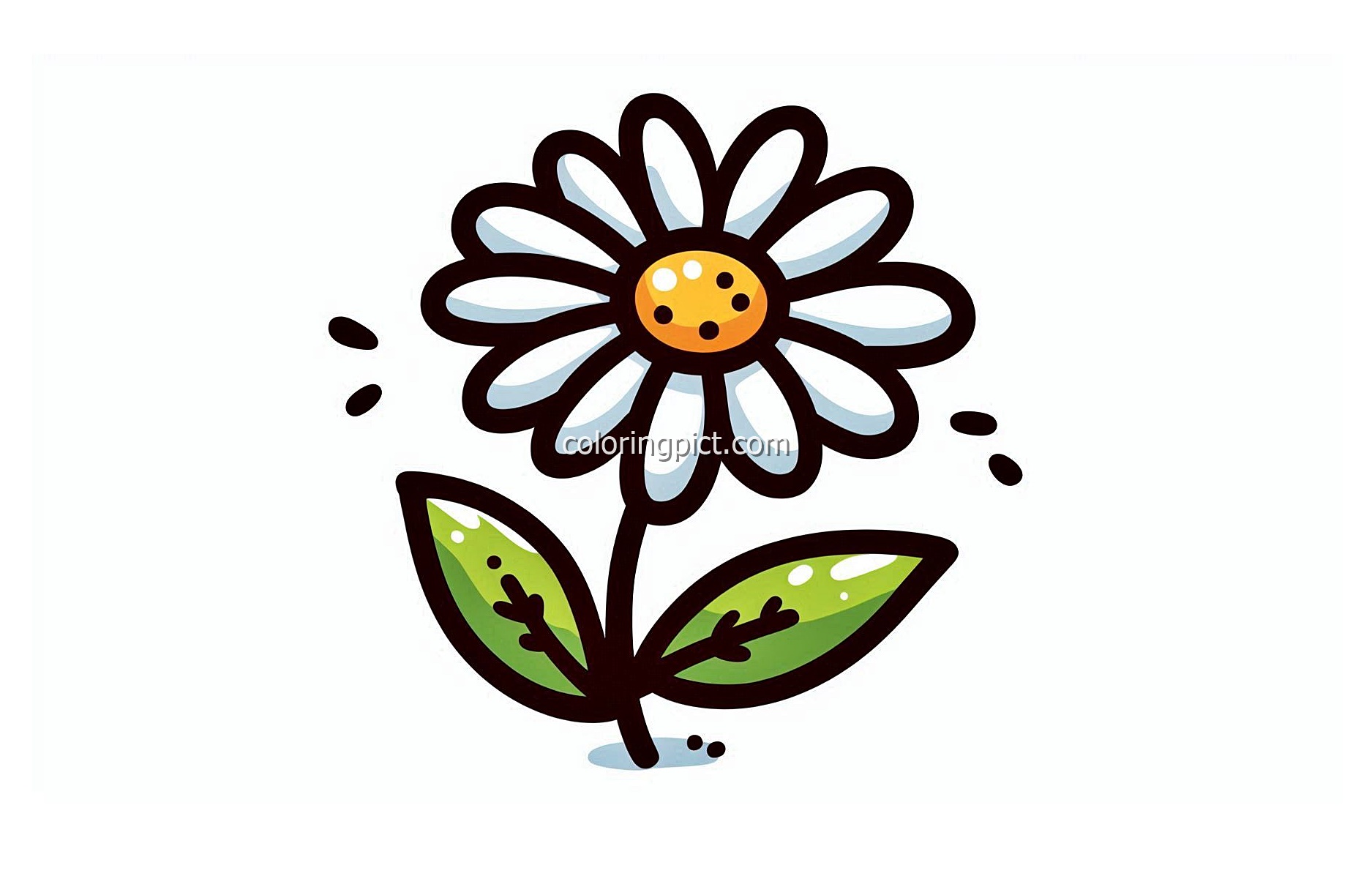 image is daisy coloring
