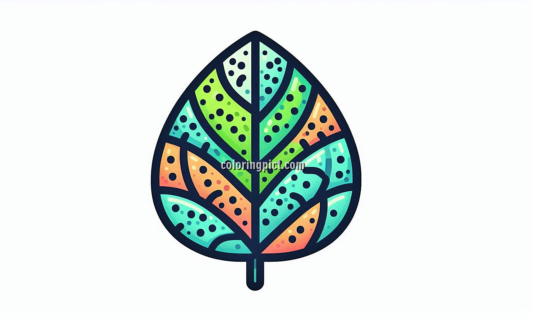 image is leaf coloring