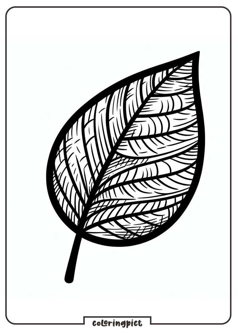leaf coloring page for kids