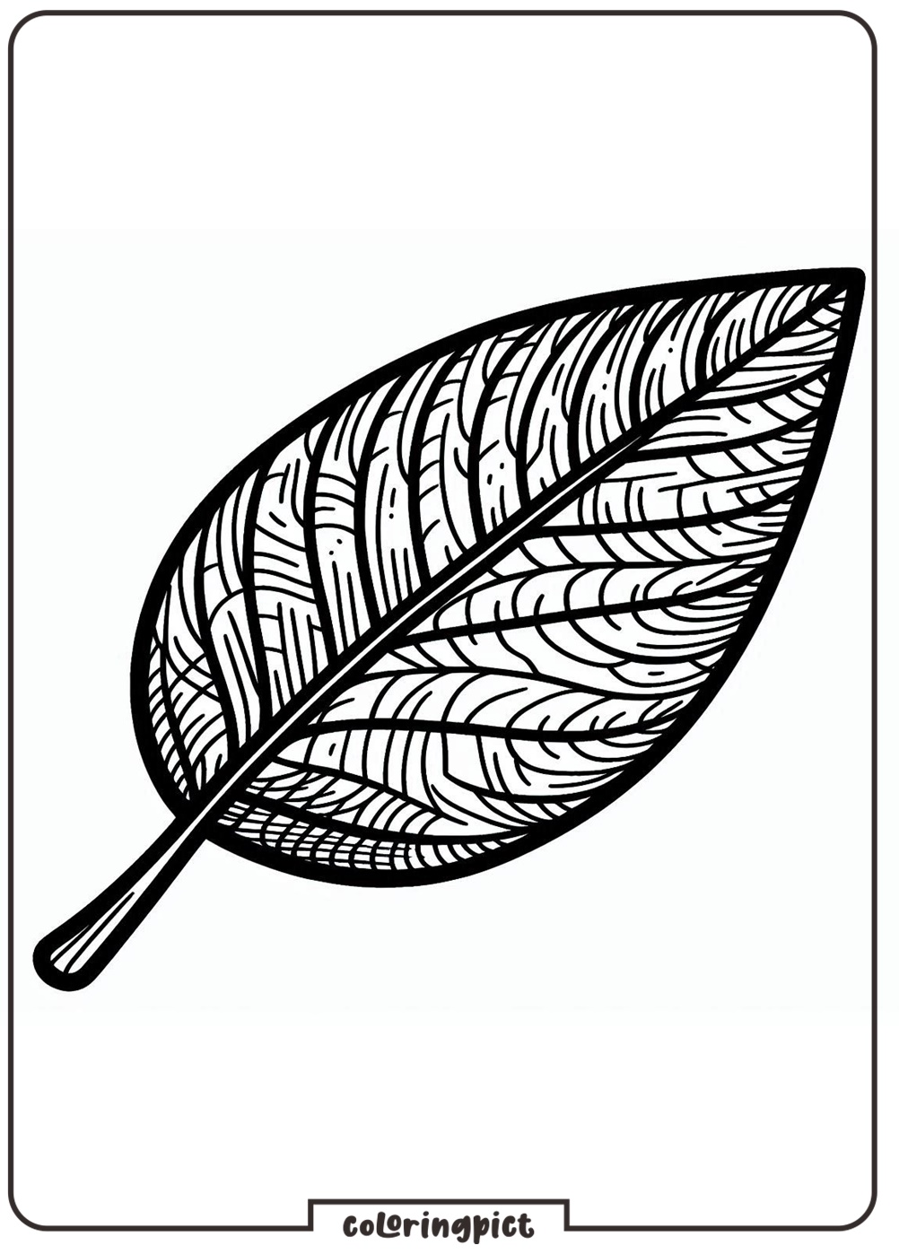 leaf coloring page
