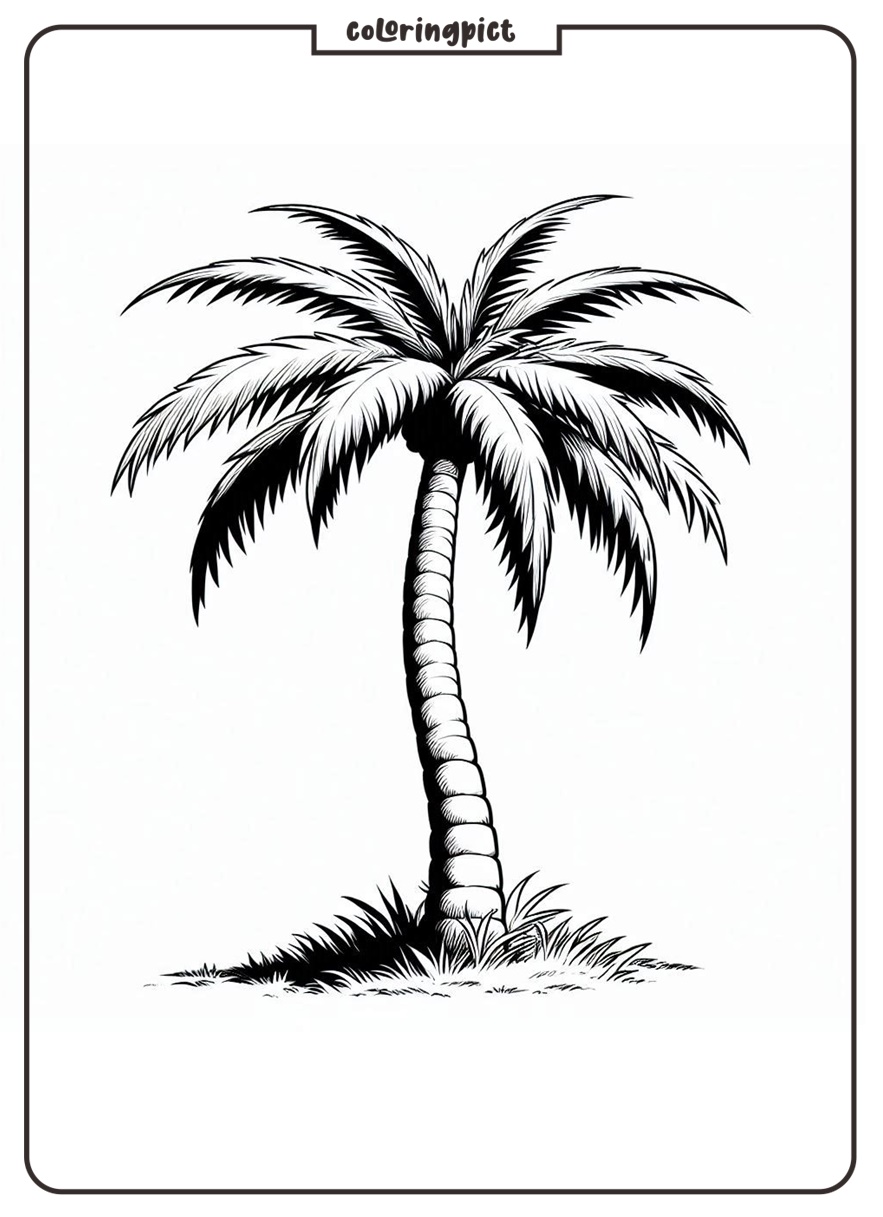 Palm Tree Coloring pages for Kids 3 palm tree coloring pages
