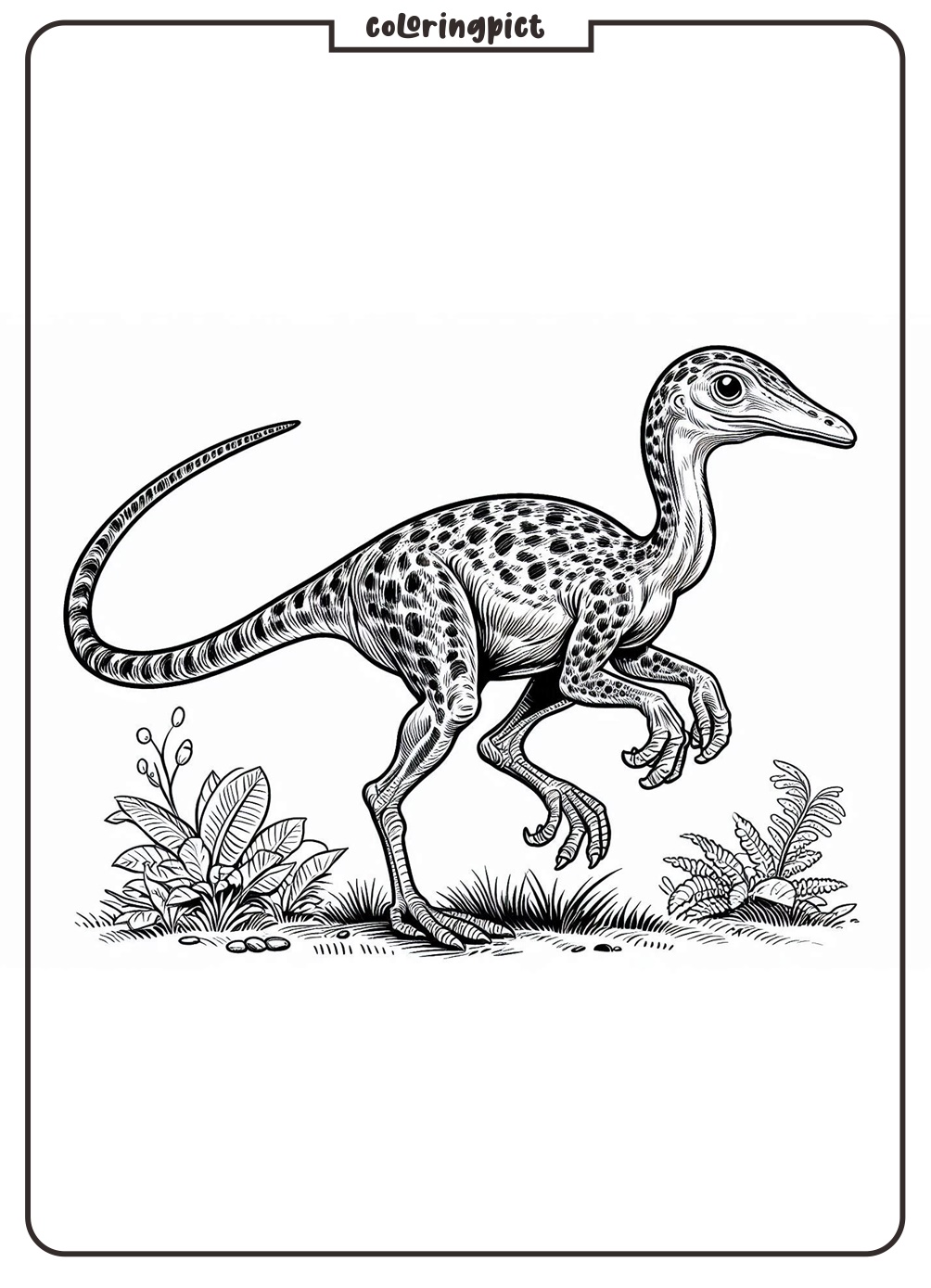 Compsognathus Coloring Page coloringpict.com