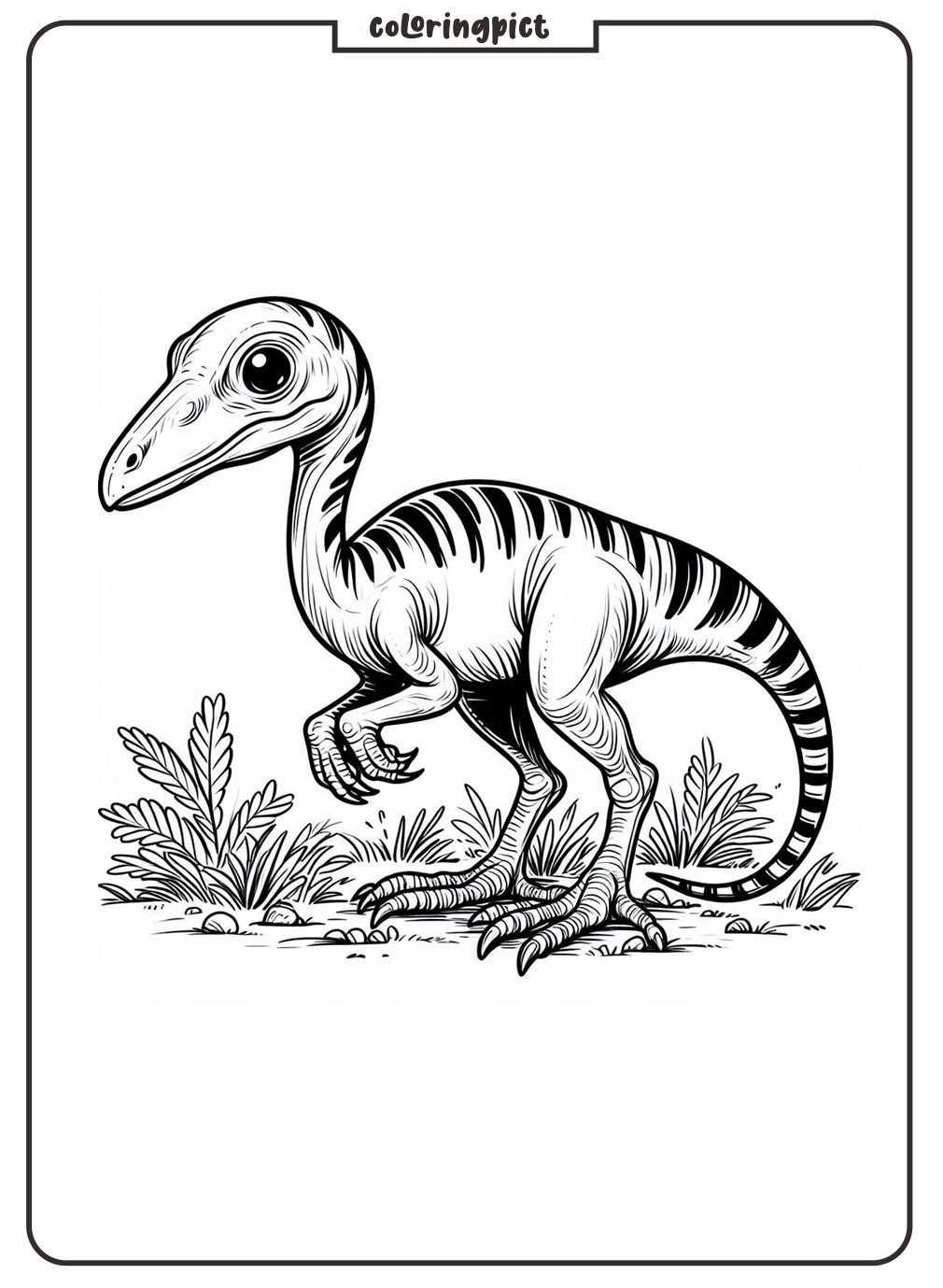 Compsognathus Coloring Pages coloringpict.com
