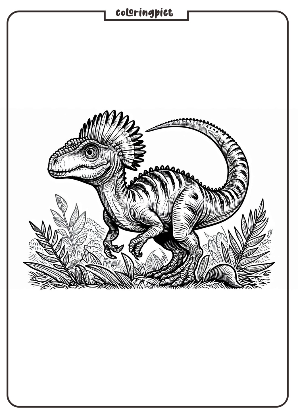 Dinosaur with a Distinctive Crest on Its Head, Dilophosaurus Coloring Pages 1 Dilophosaurus Coloring Page Dinosaurs Coloringpict.com