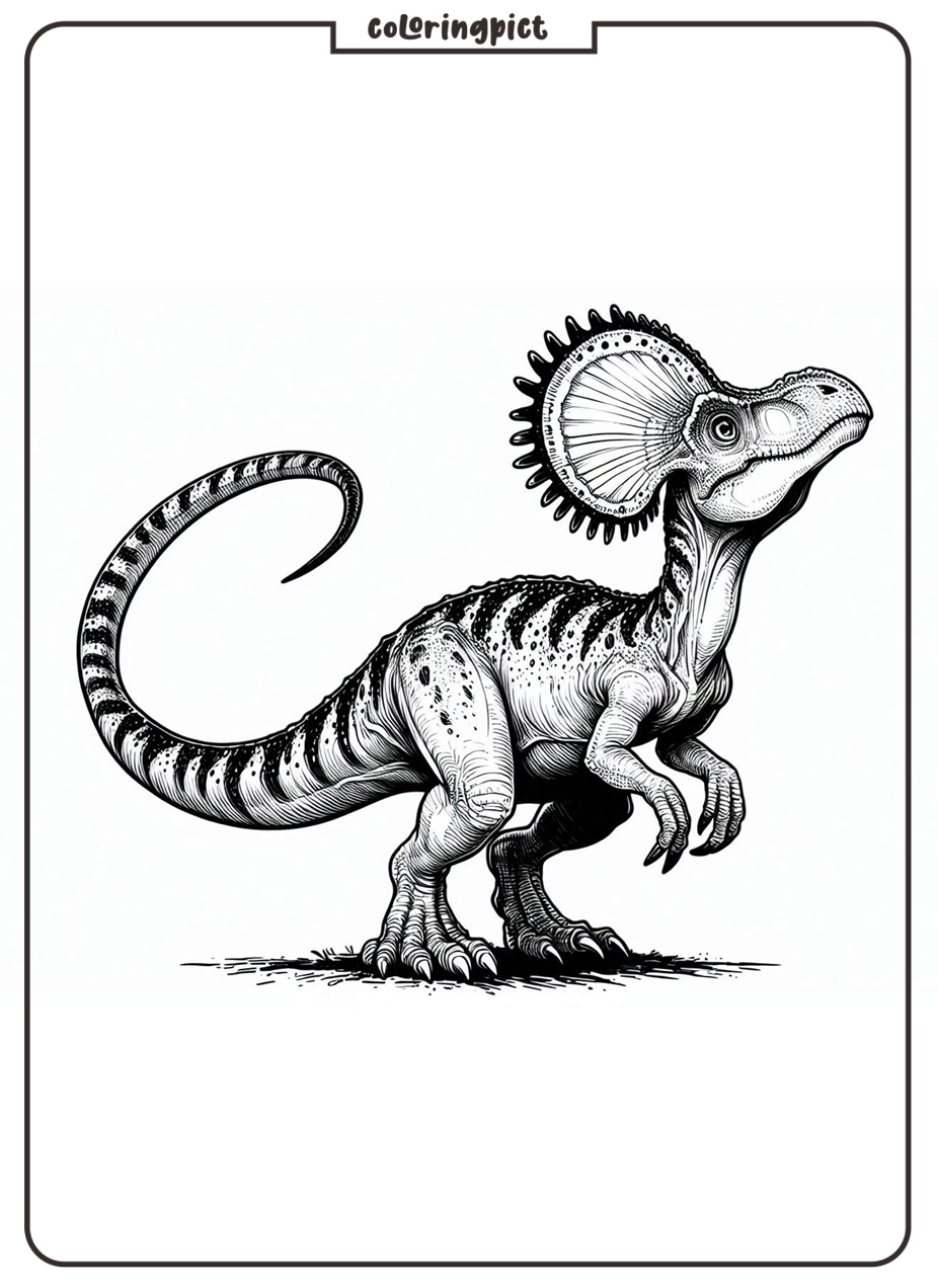 Dinosaur with a Distinctive Crest on Its Head, Dilophosaurus Coloring Pages 2 Dilophosaurus Coloring Page Dinosaurs for Kids Coloringpict.com