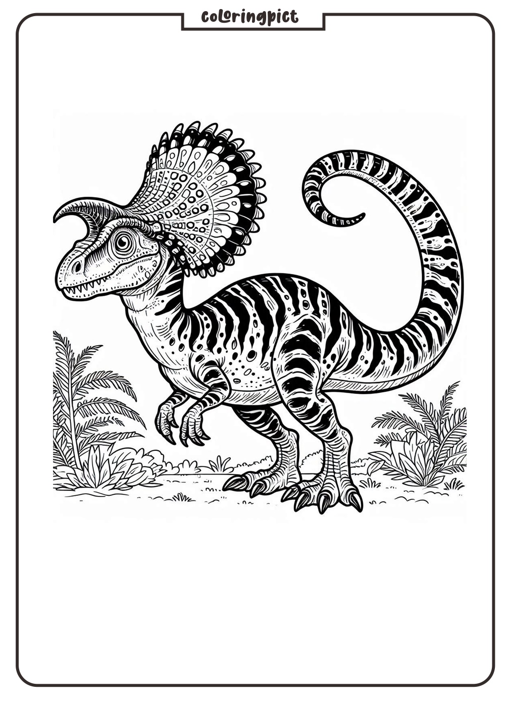 Dinosaur with a Distinctive Crest on Its Head, Dilophosaurus Coloring Pages 4 Dilophosaurus Coloring Pages Dinosaurs for Kids Coloringpict.com
