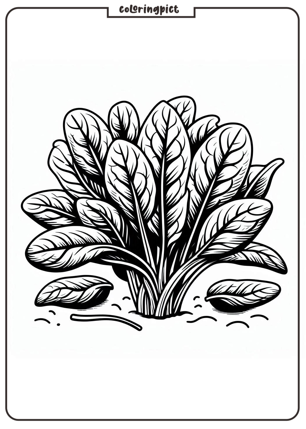 Spinach Colorin Pages coloringpict.com