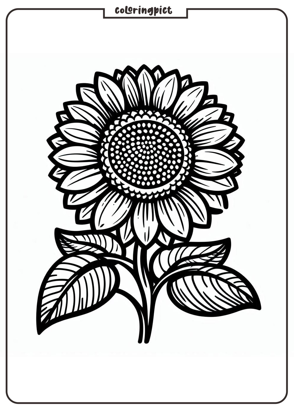 SunFlower Coloring Page coloringpict.com
