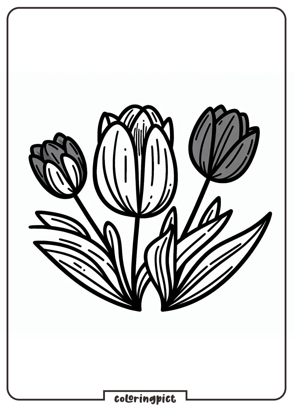 Tulip Coloring Book