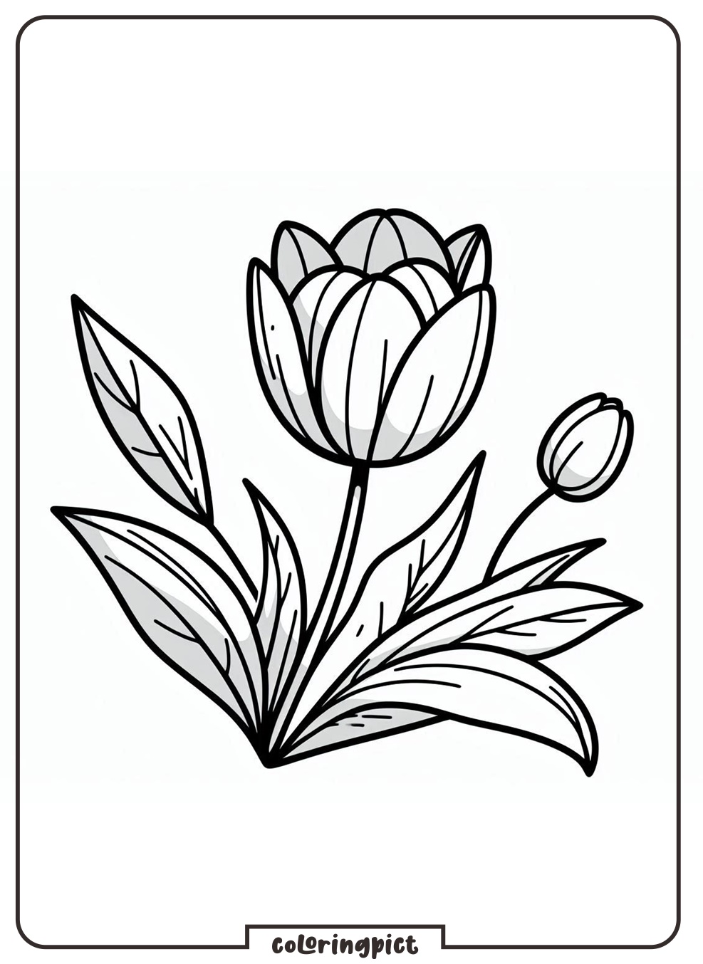Tulip Coloring Page